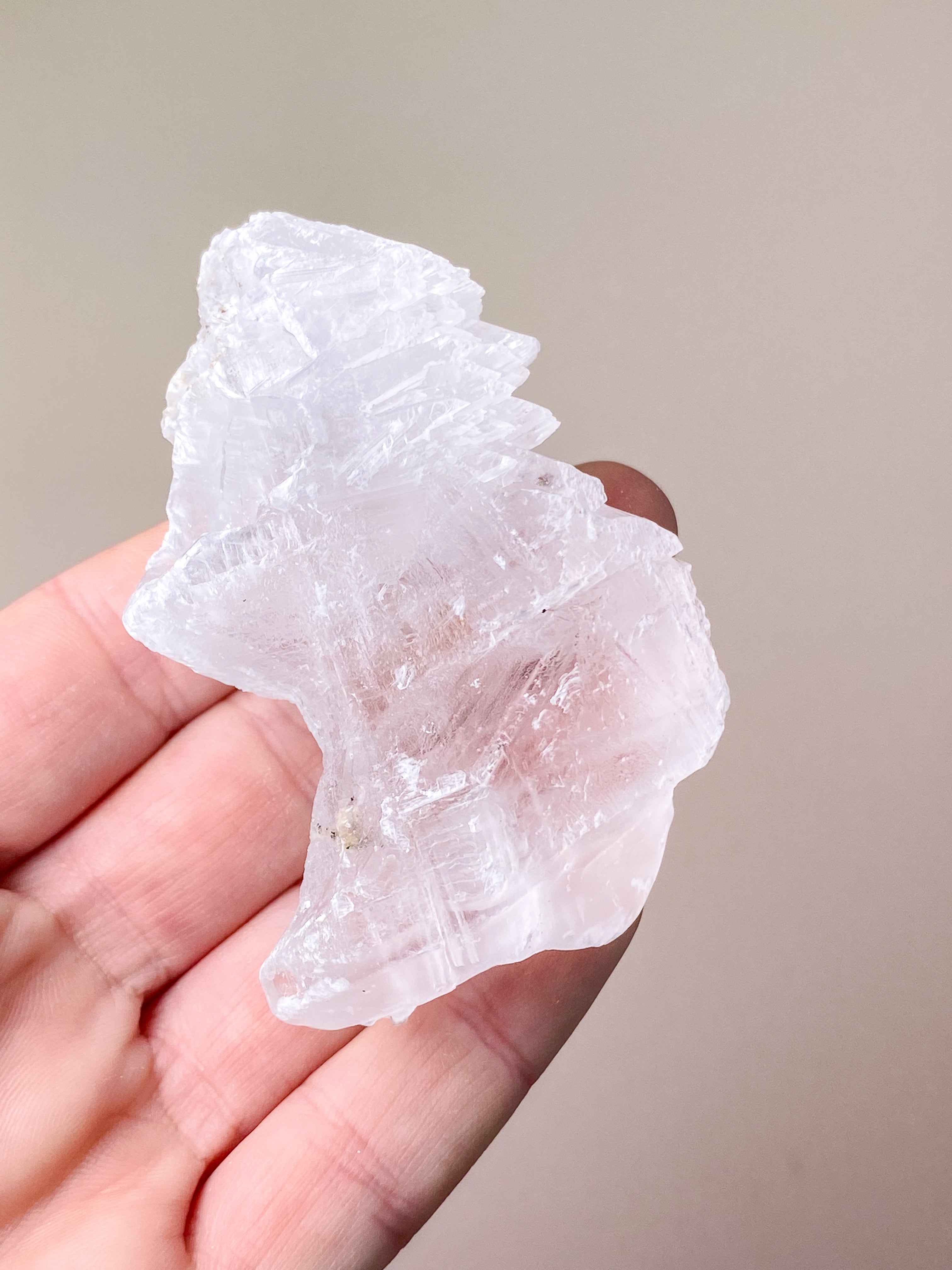 Fishtail/Angels Wing Selenite (No. 9) Exclusive Quality