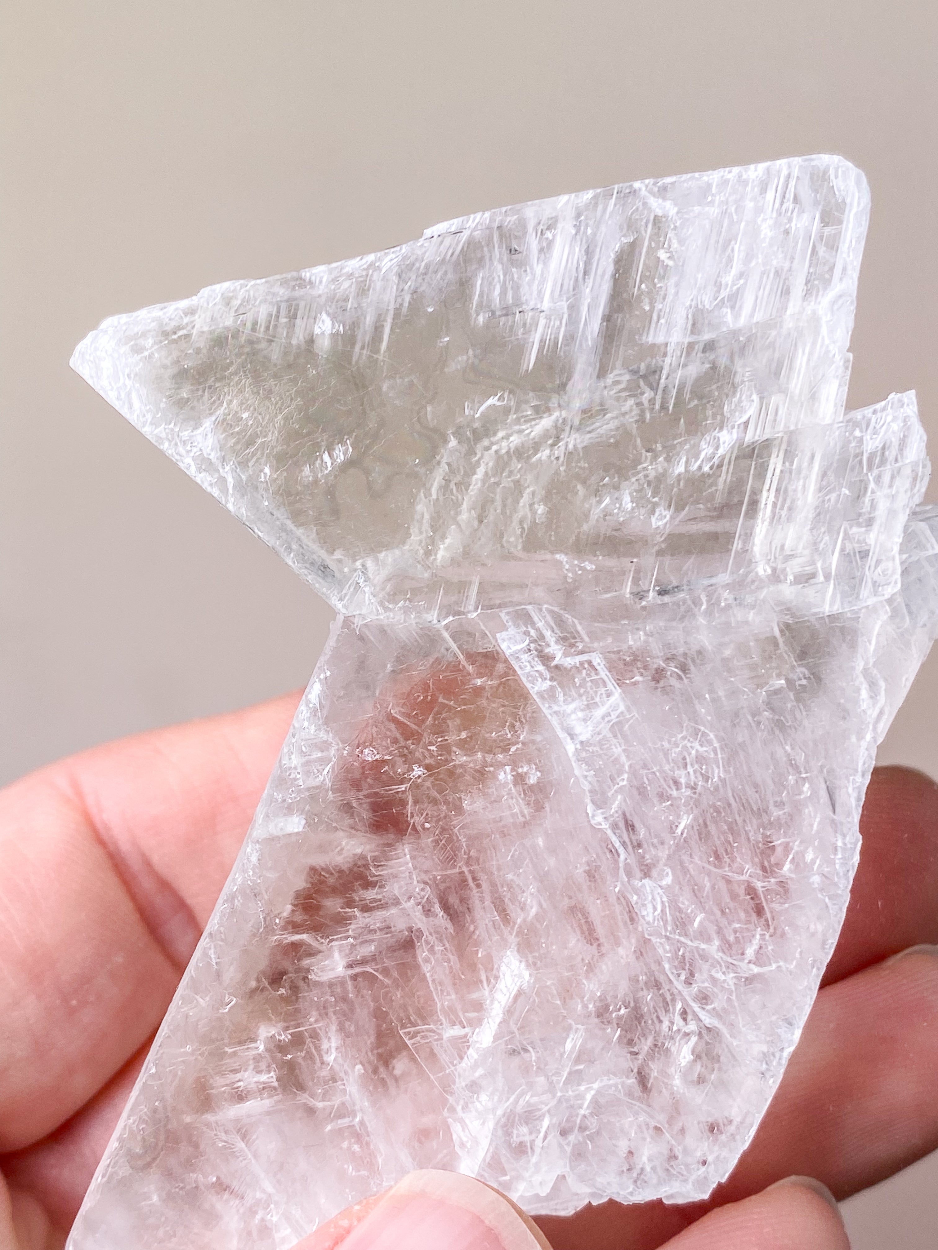 Fishtail/Angels Wing Selenite (No. 9) Exclusive Quality
