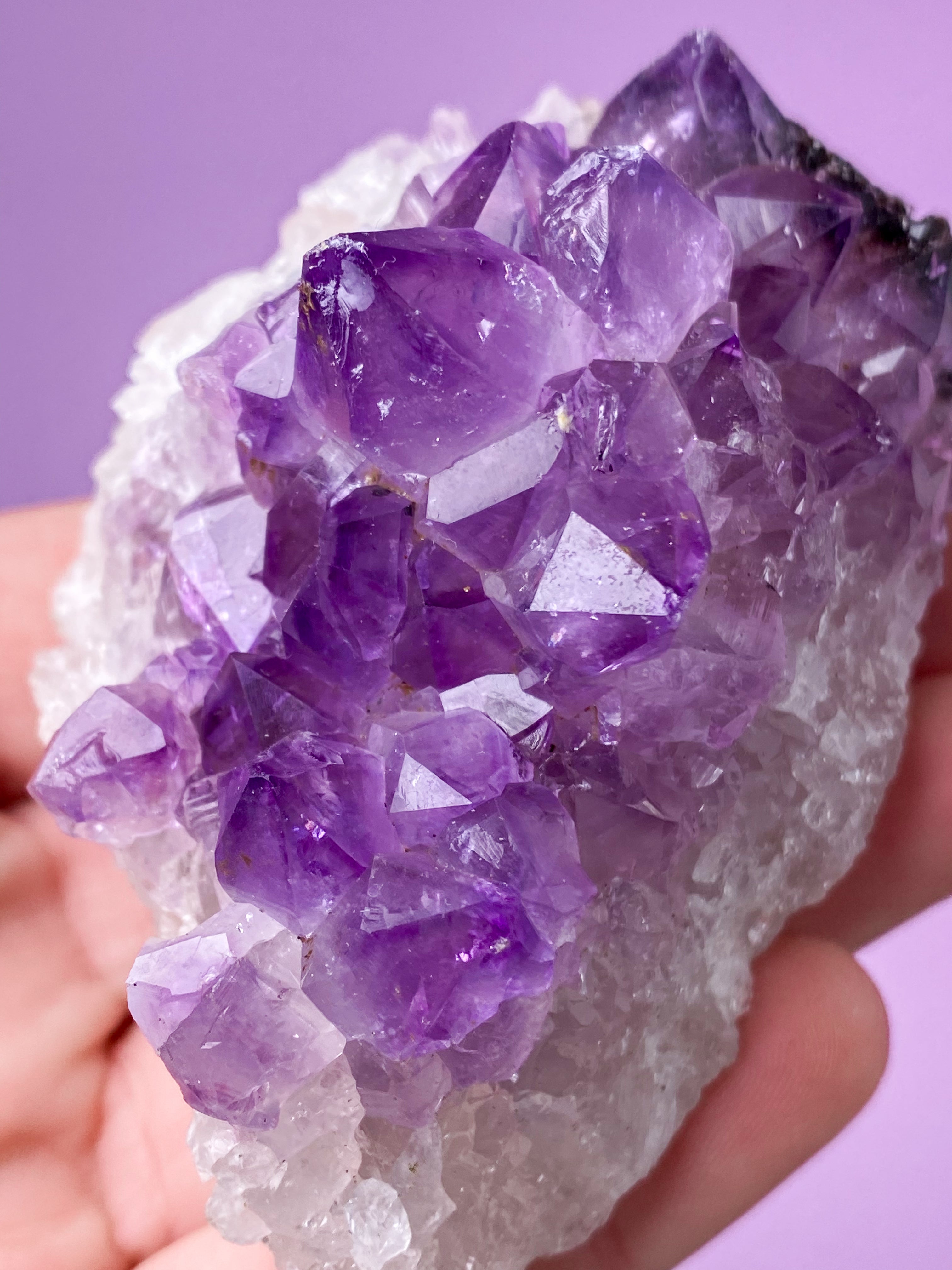 Ametyst Klynge (Nr. 2)