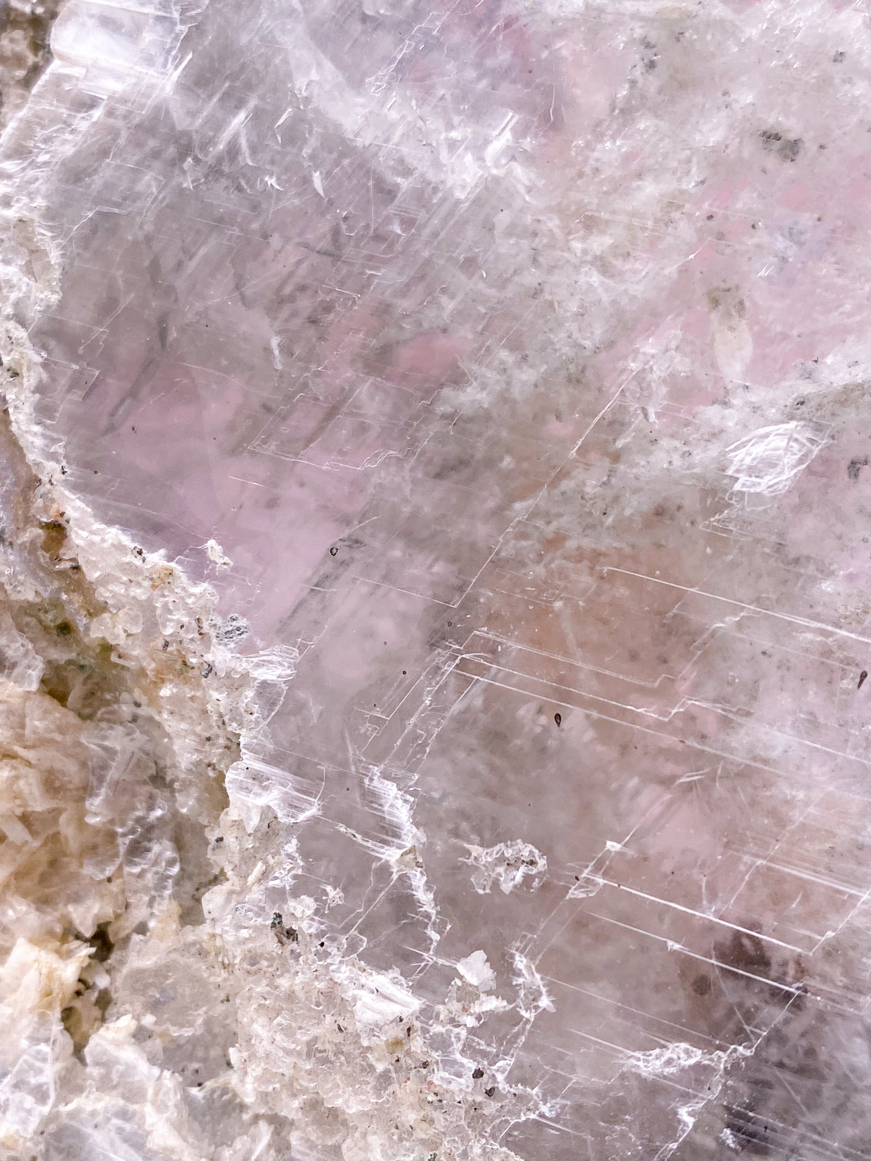 Selenit/Gypsum Formation - Showpiece (Nr. 1)