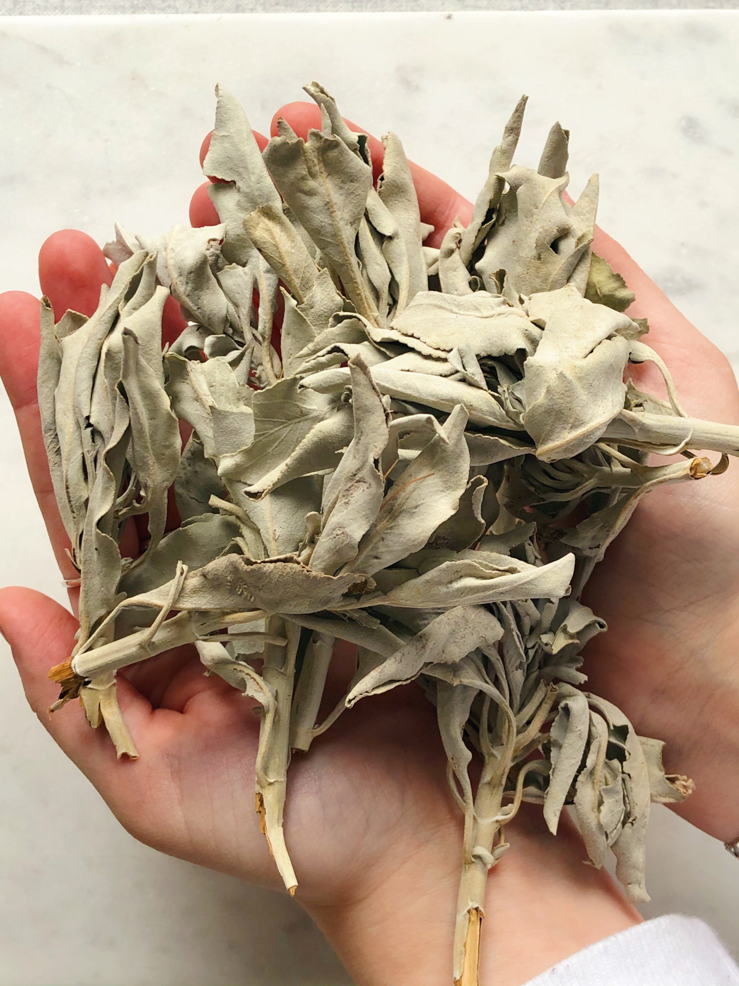 Løs Hvid Salvie (28g) Premium Kvalitet