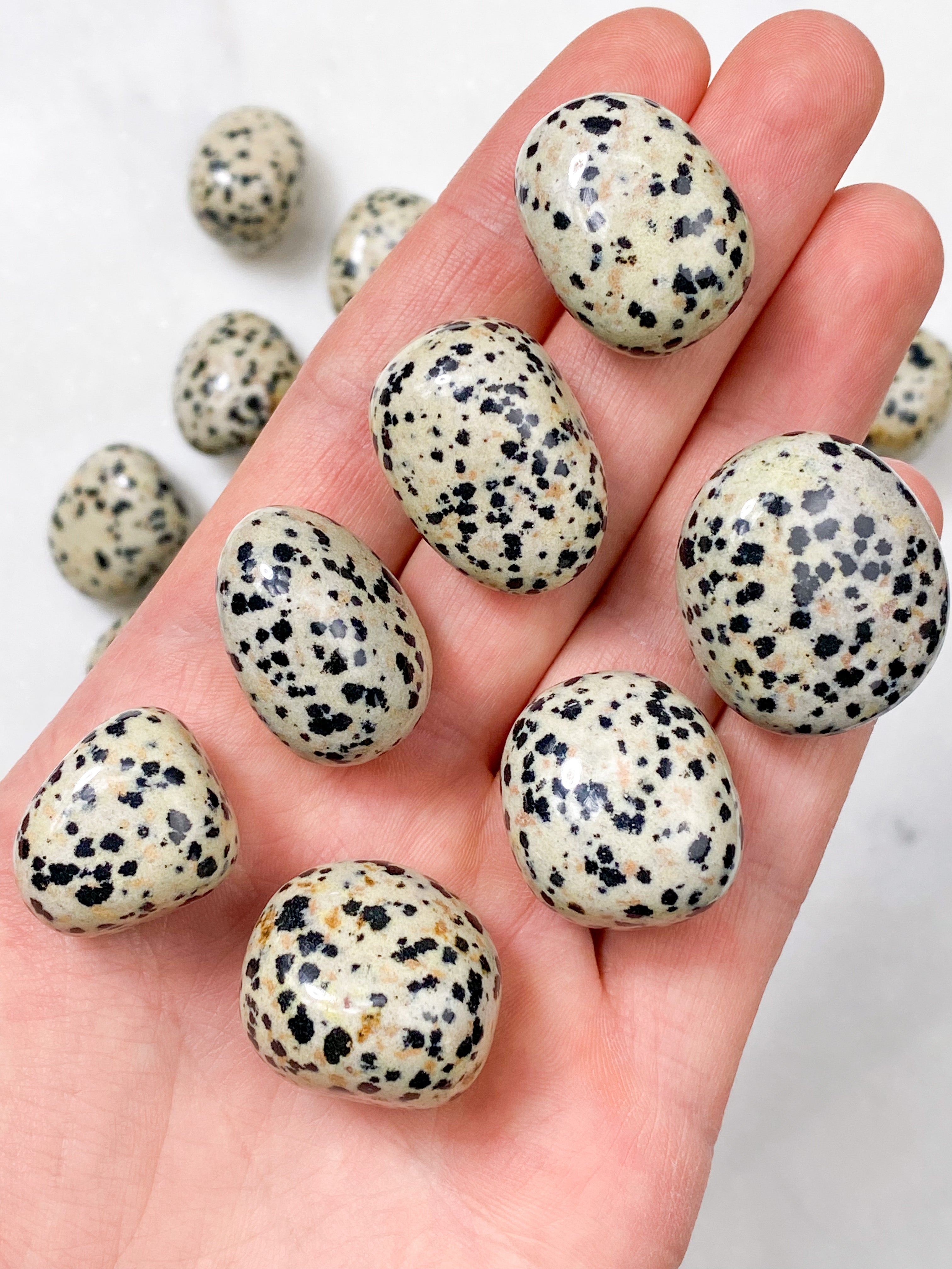 Dalmatian Jasper Pocket Stone