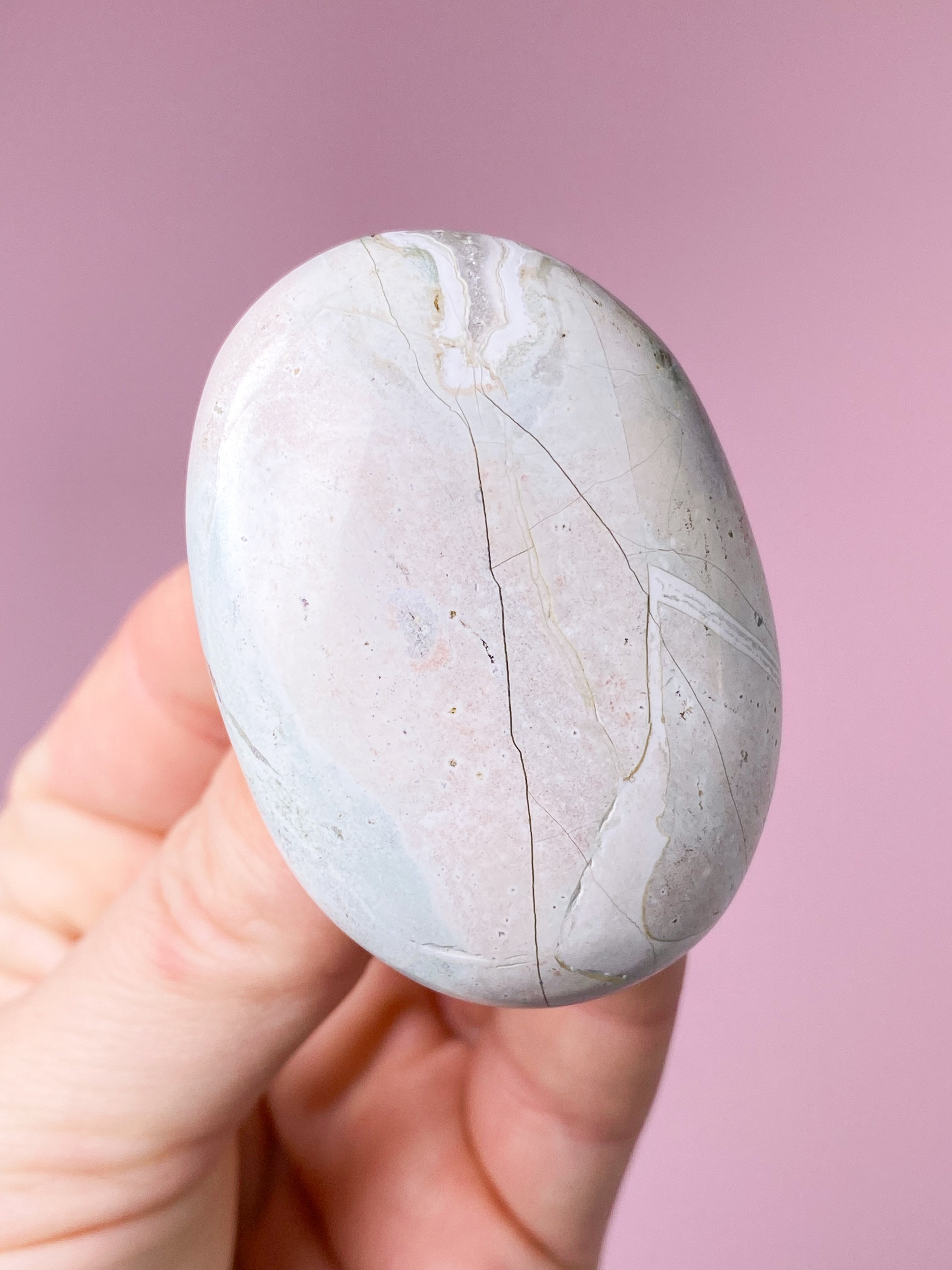 Unicorn Jaspis Palmstone (Nr. 10)