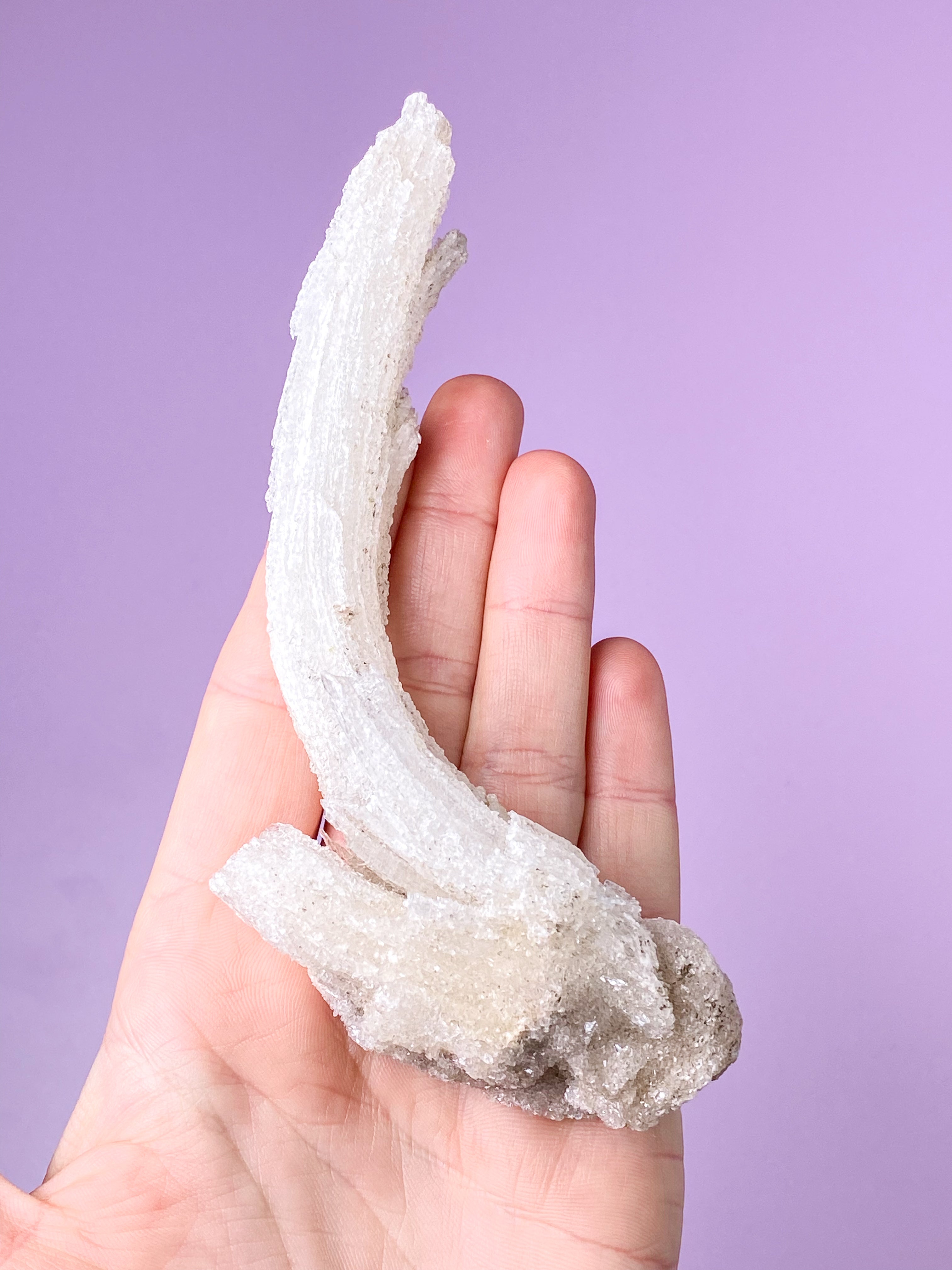 Vädurshornselenit (nr 1) Exklusiv kvalitet