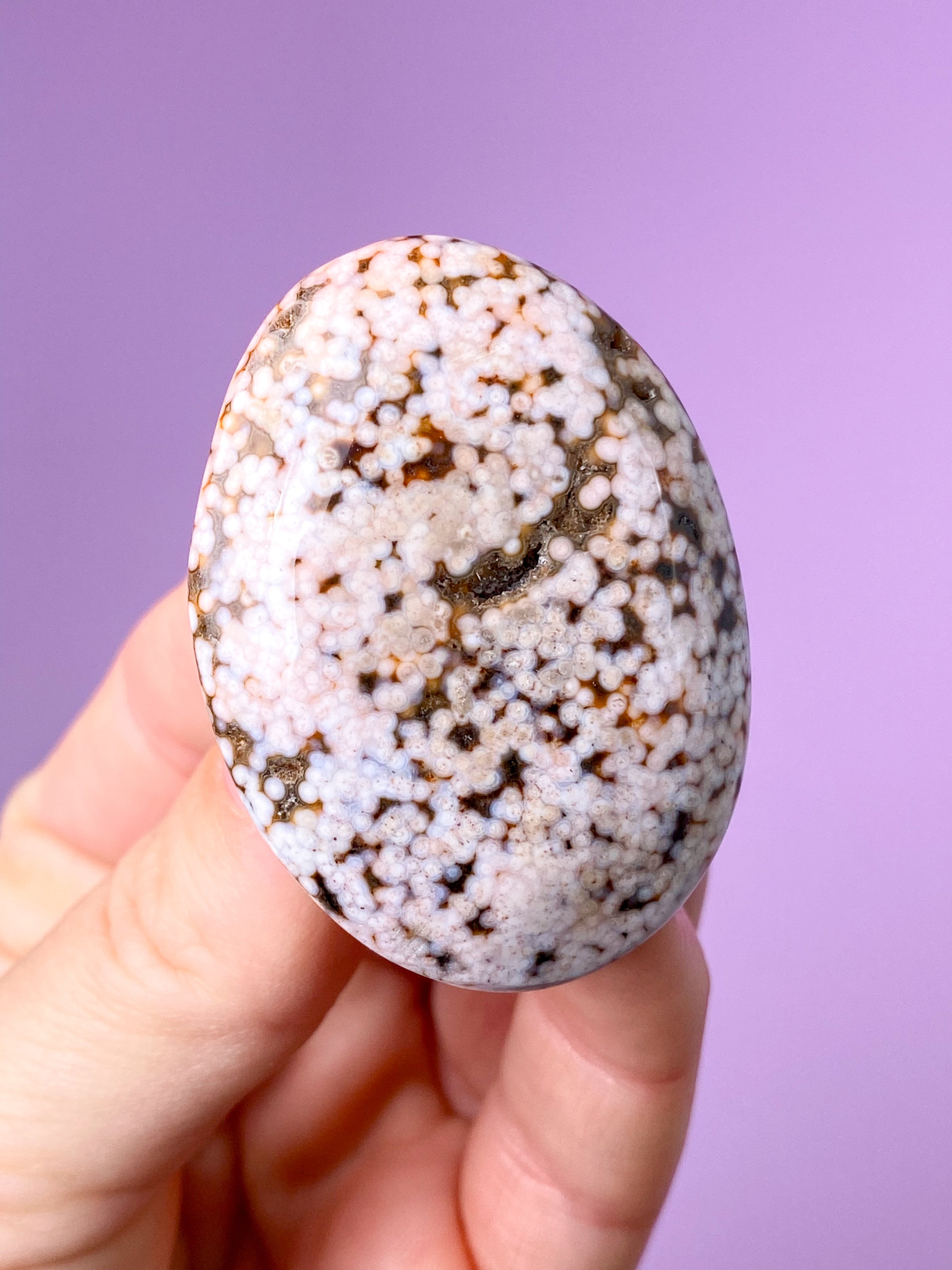 Ocean Jaspis Palmstone (Nr. 4)