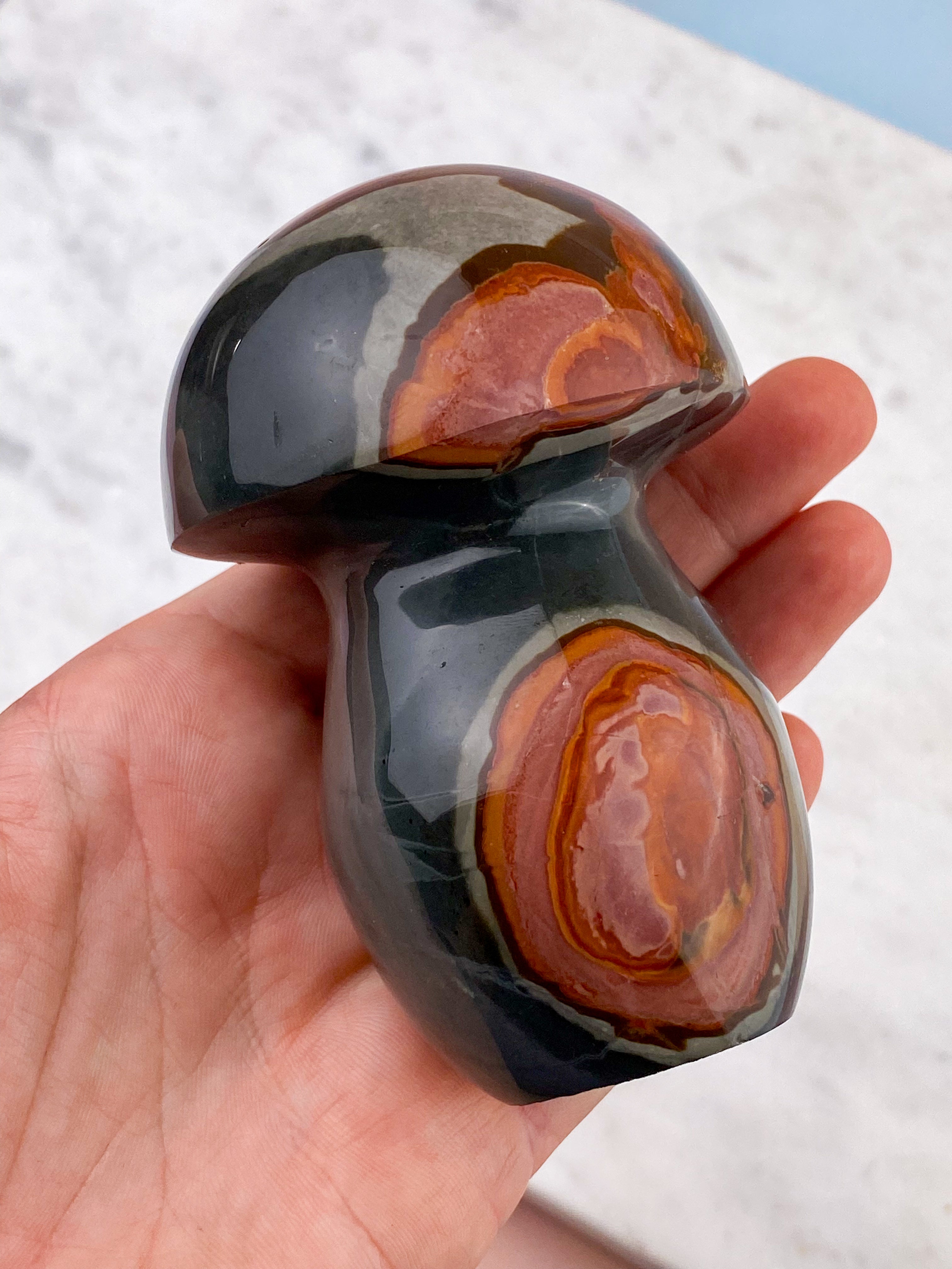 Polychrom Jasper Palm Stone (nr 12)