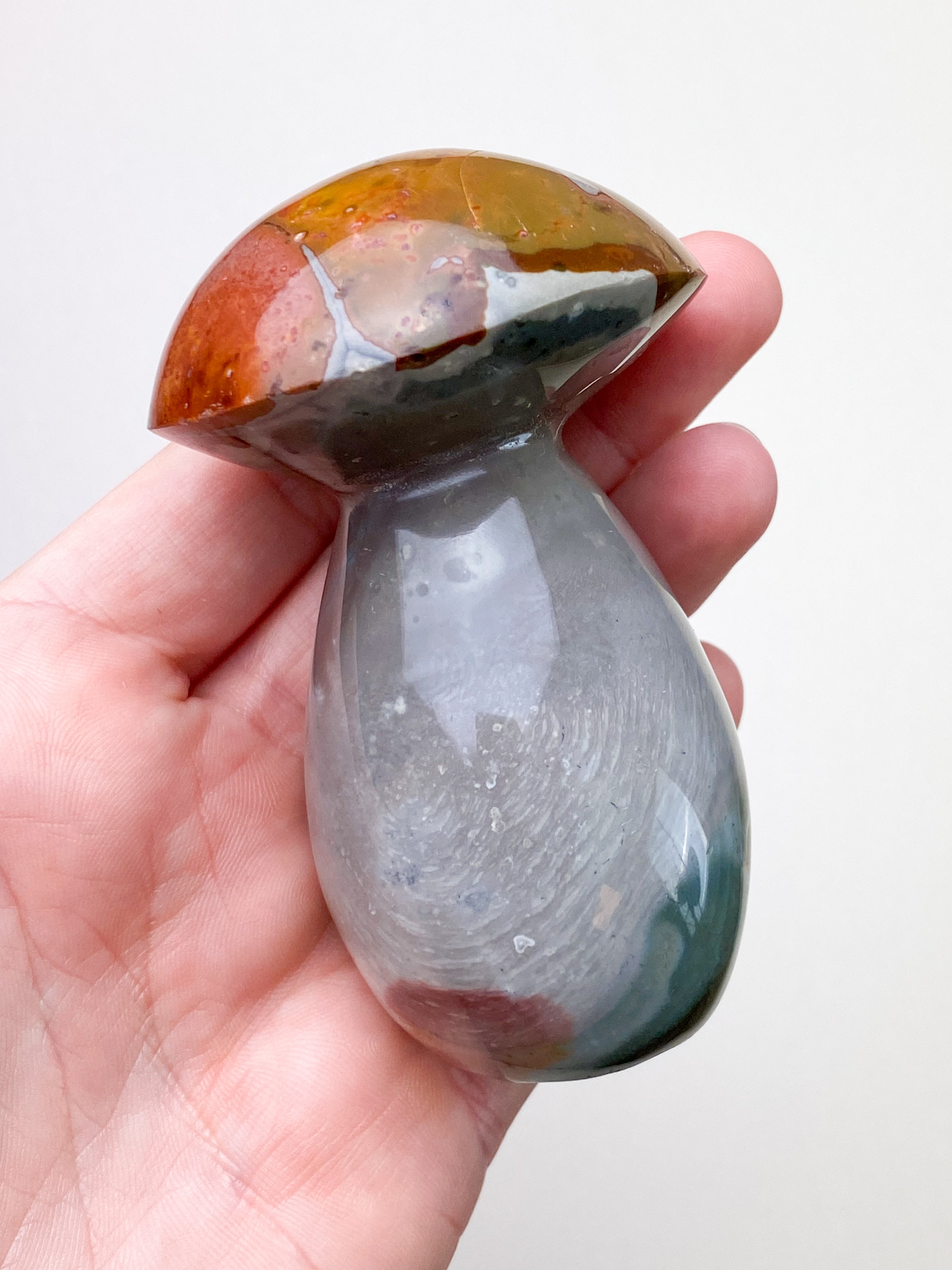 Polychrom Jasper Palm Stone (nr 12)