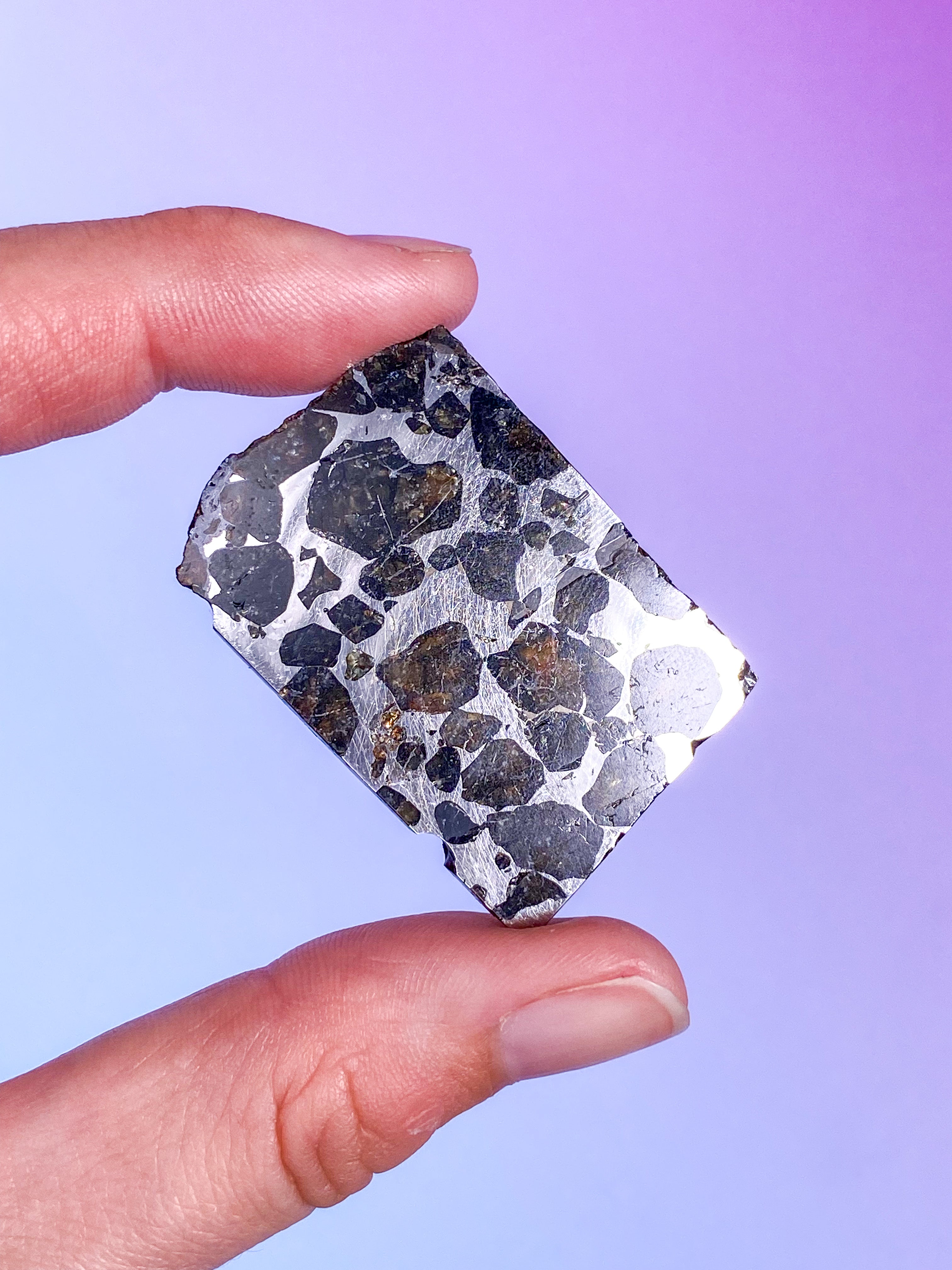 Seymchan Meteorit (Nr. 8)