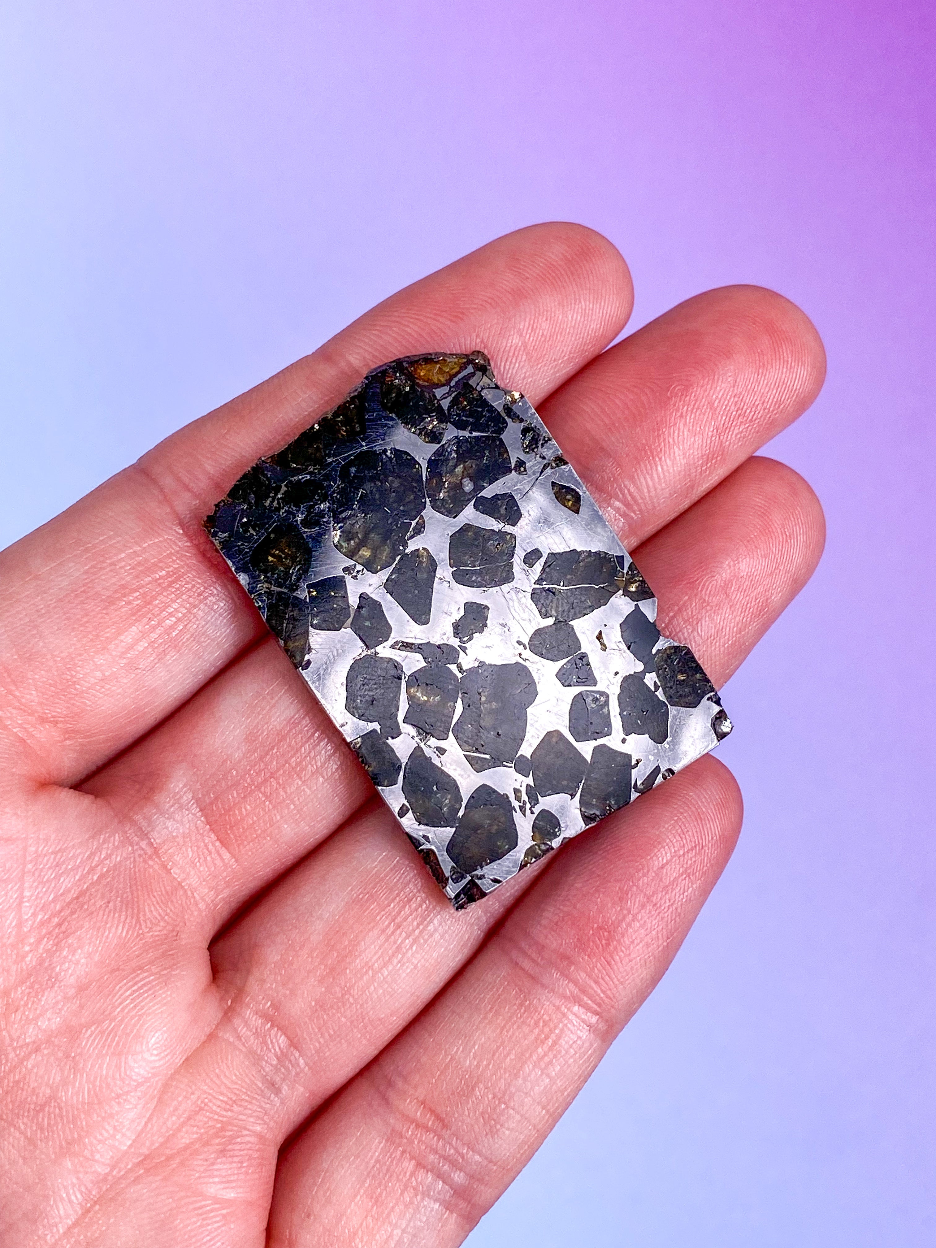 Seymchan Meteorit (Nr. 8)