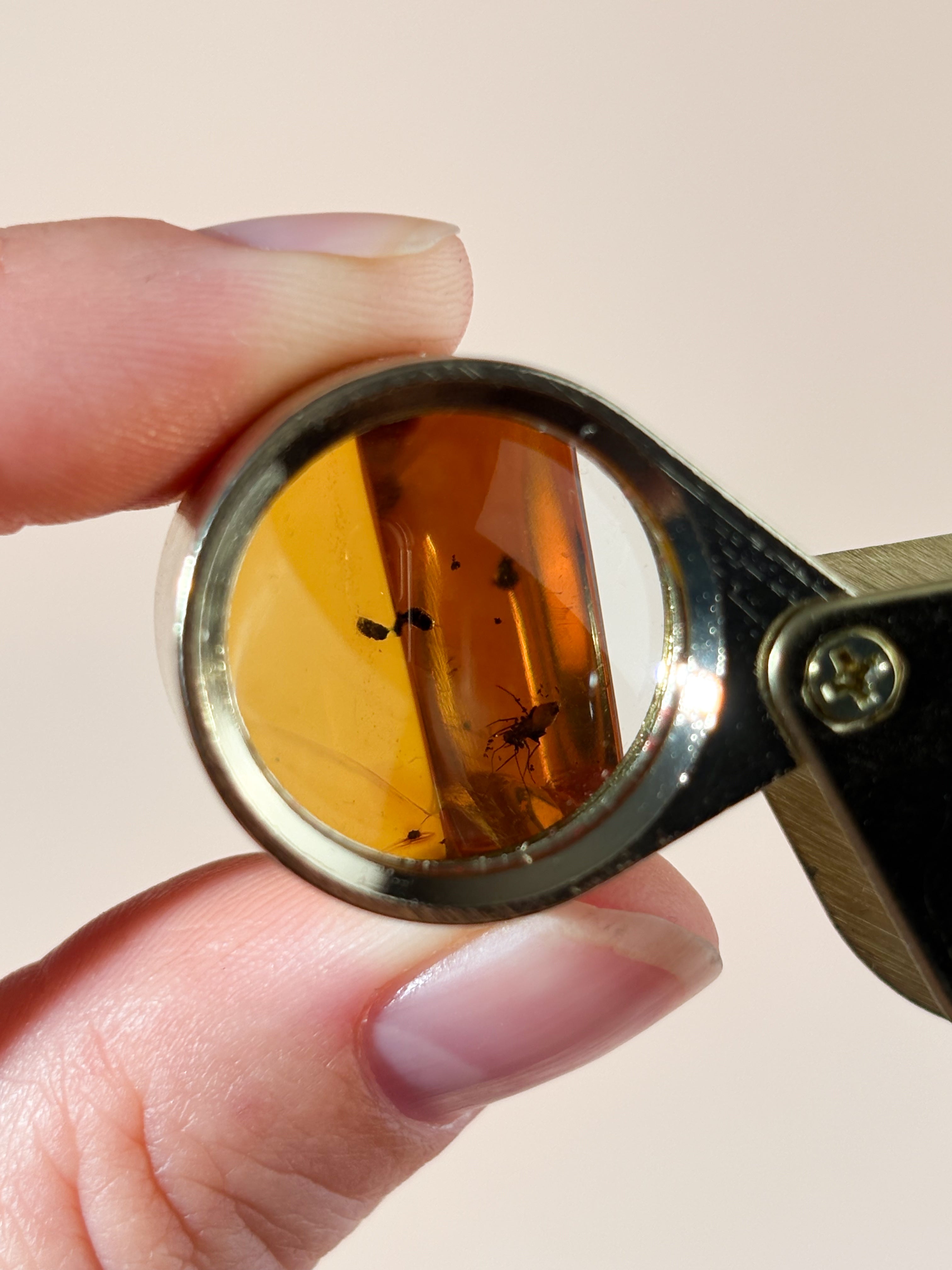 Chiapas Rav Med Insekt (Nr. 5) Eksklusiv Kvalitet