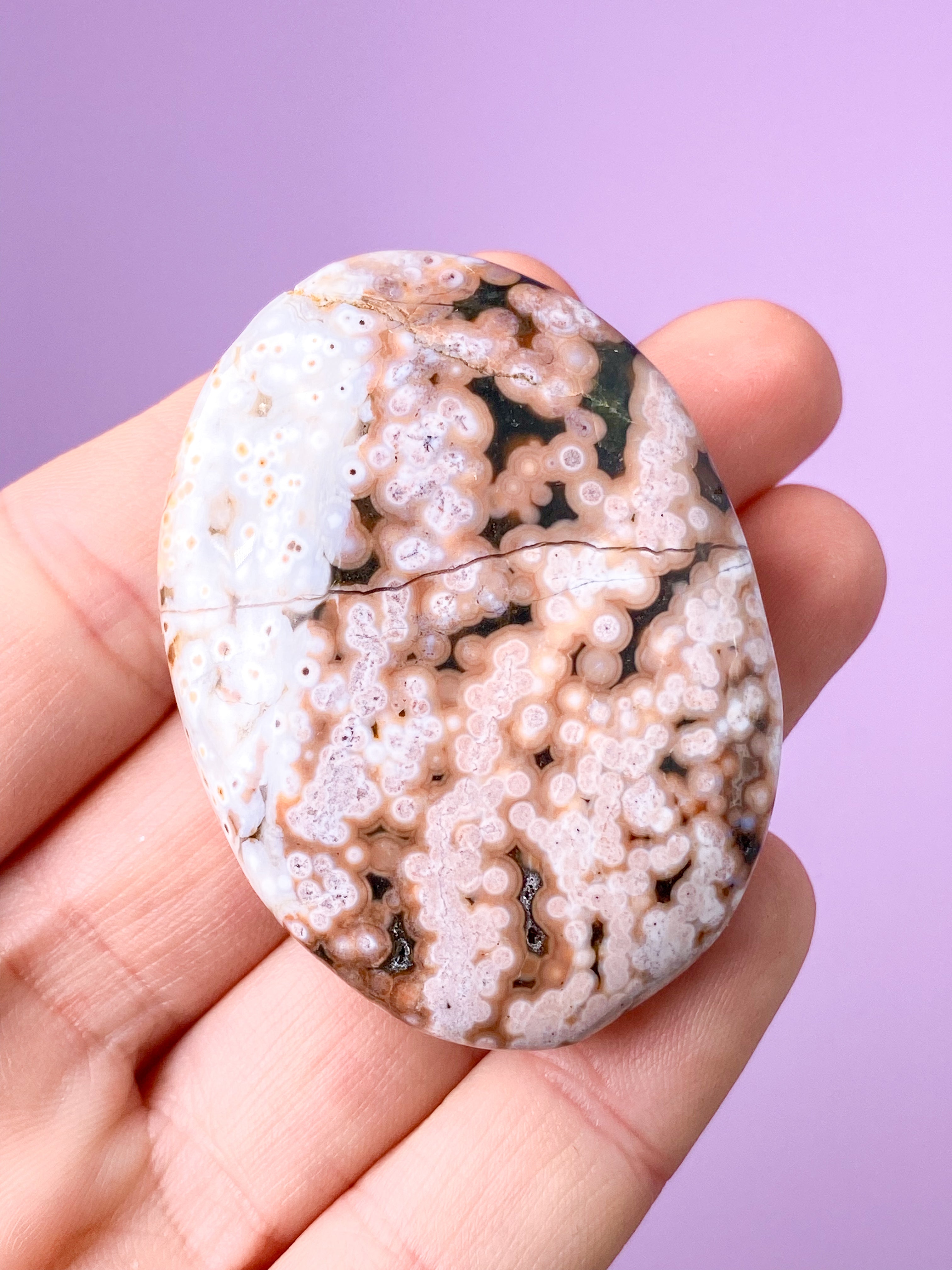 Ocean Jaspis Palmstone (Nr. 2)