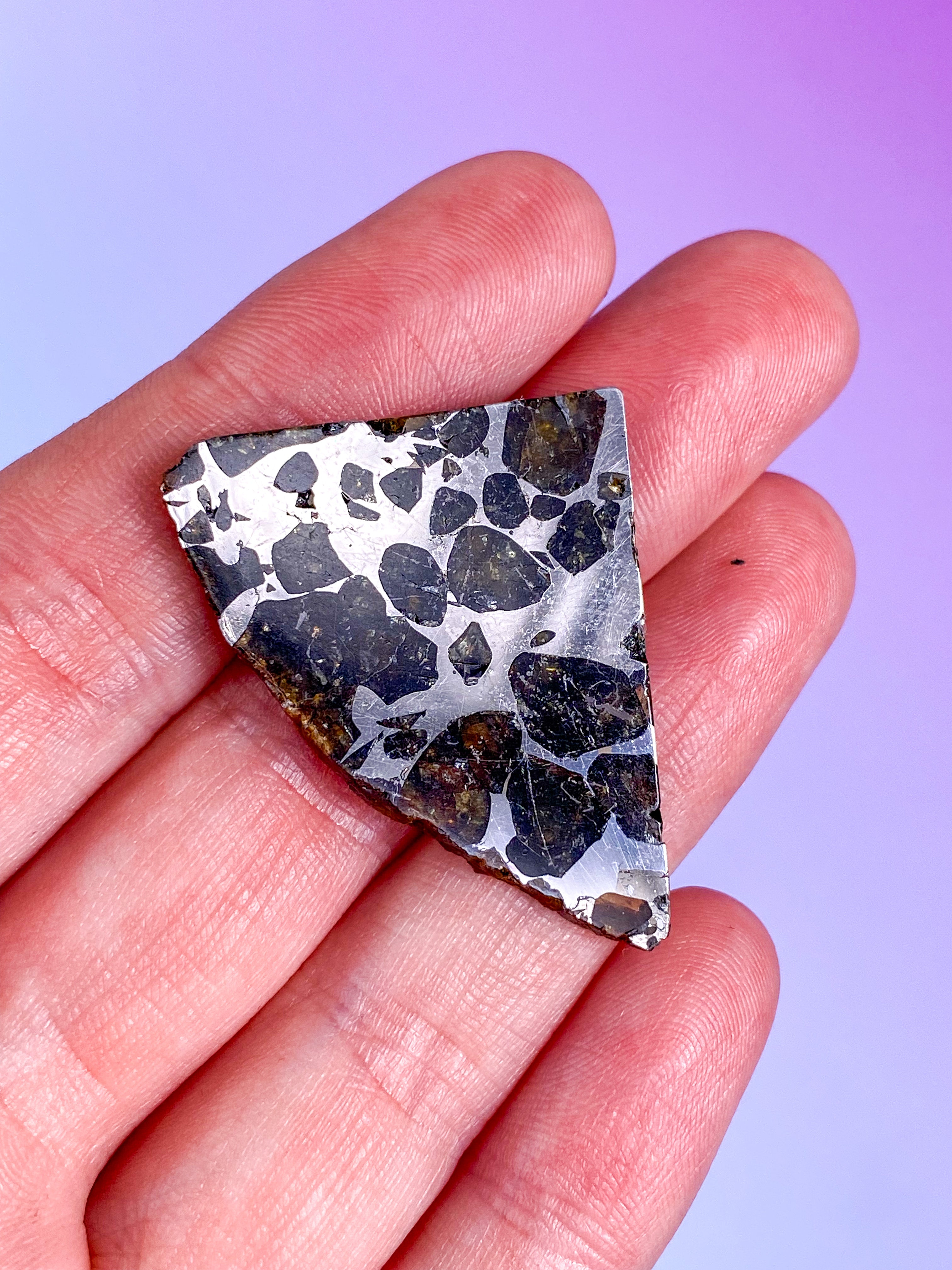 Seymchan Meteorit (Nr. 4)