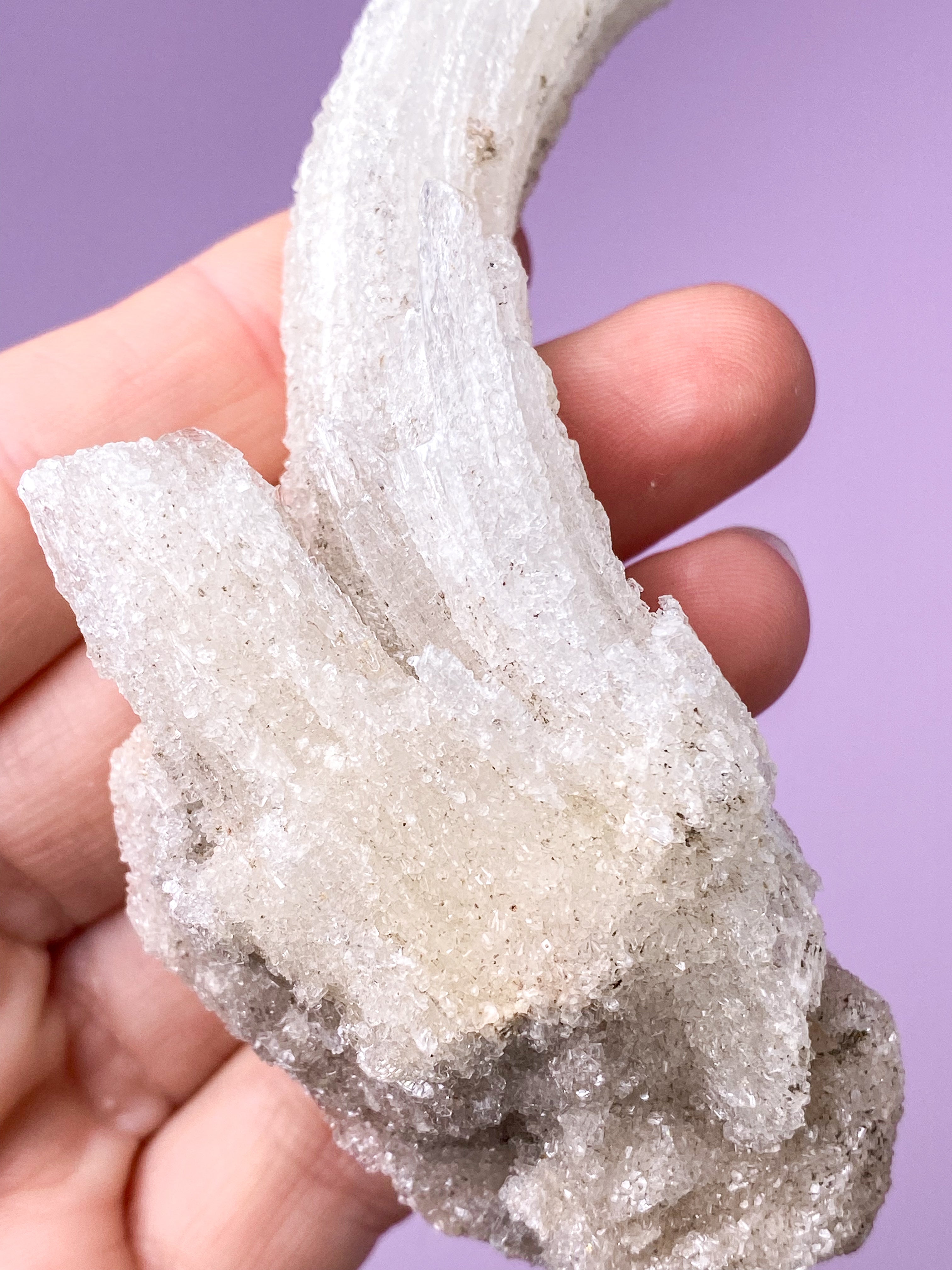 Vädurshornselenit (nr 1) Exklusiv kvalitet