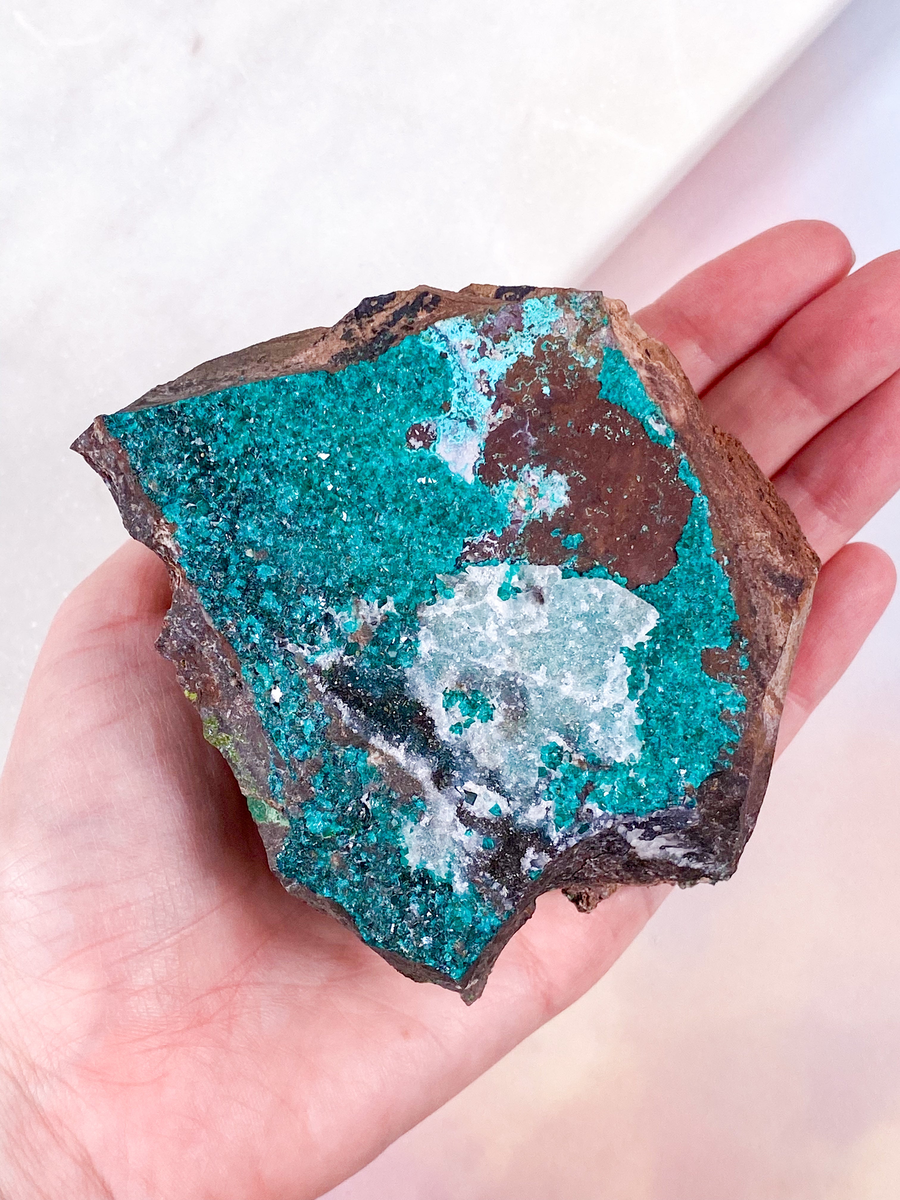 Druzy Dioptase (Nr. 9)