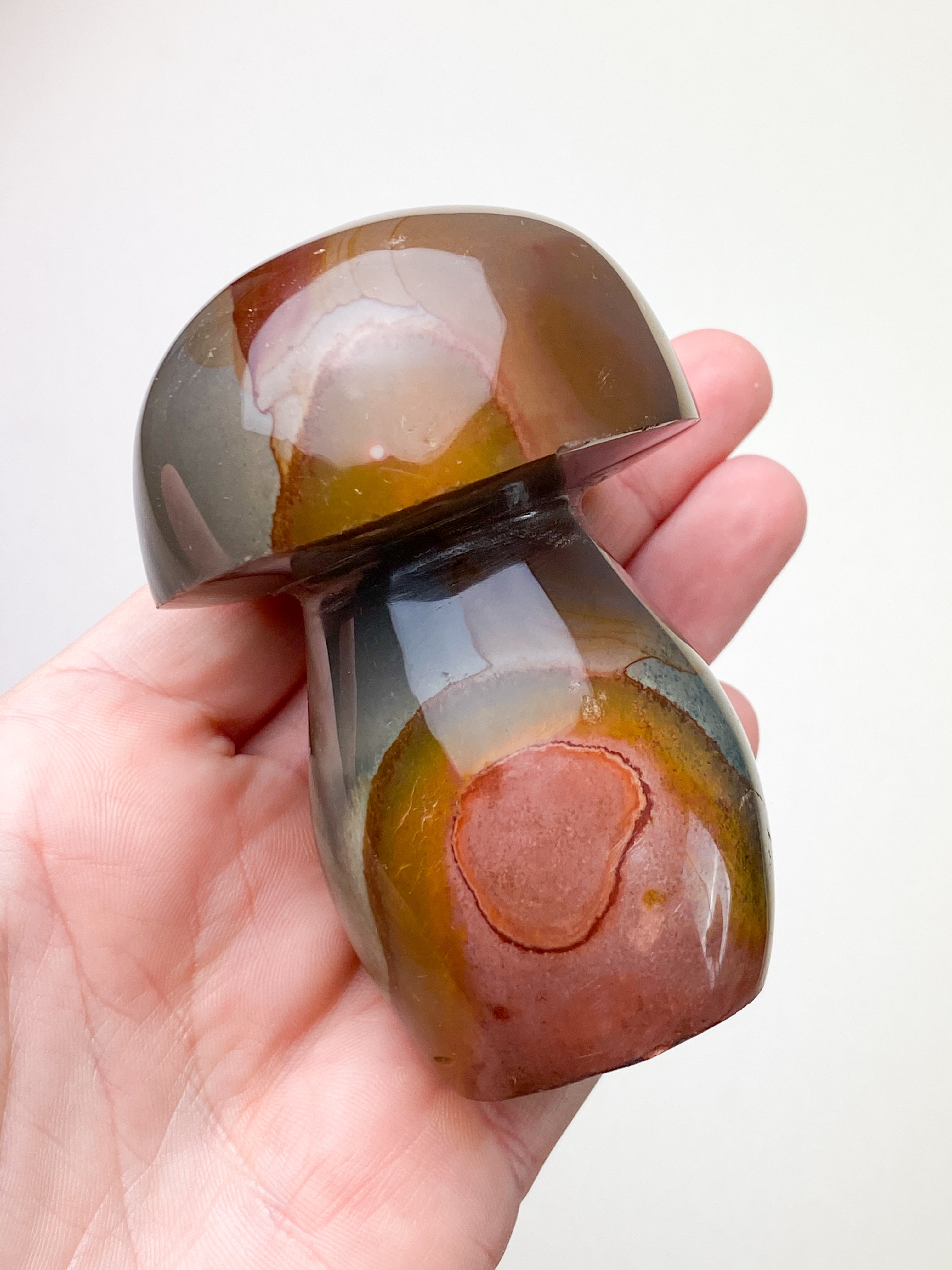 Polychrom Jasper Palm Stone (nr 12)