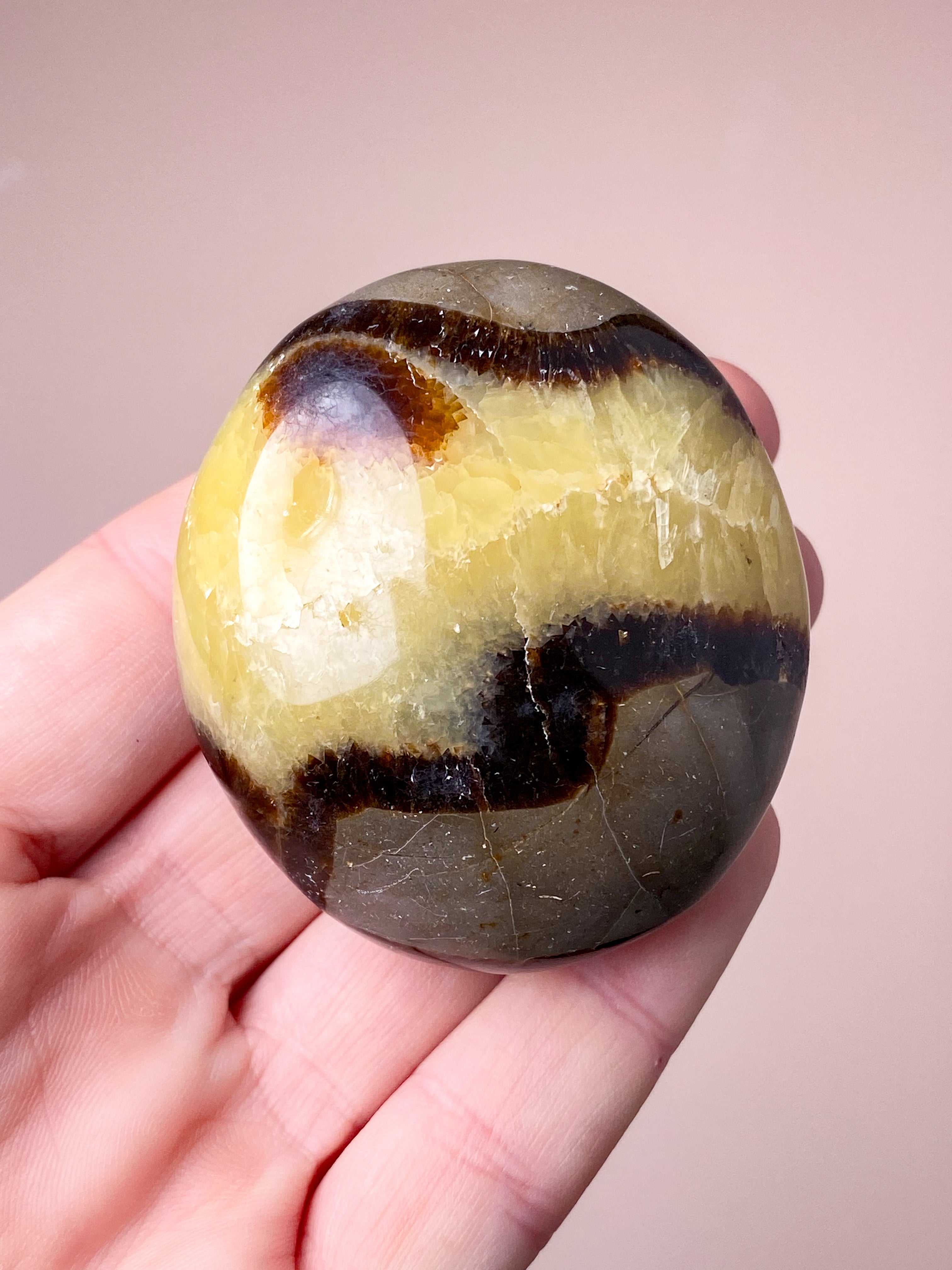 Septarie Palmstone (Nr. 3)