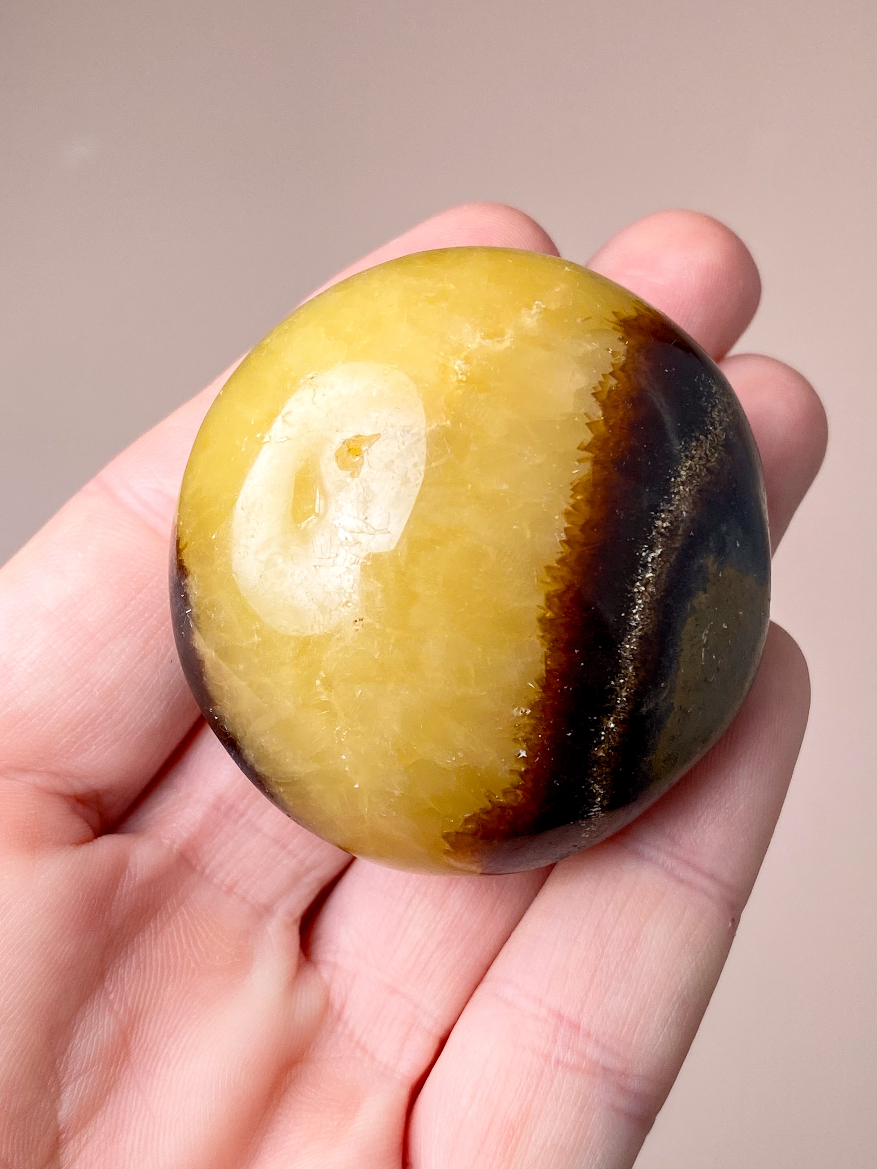 Septarie Palmstone (Nr. 5)