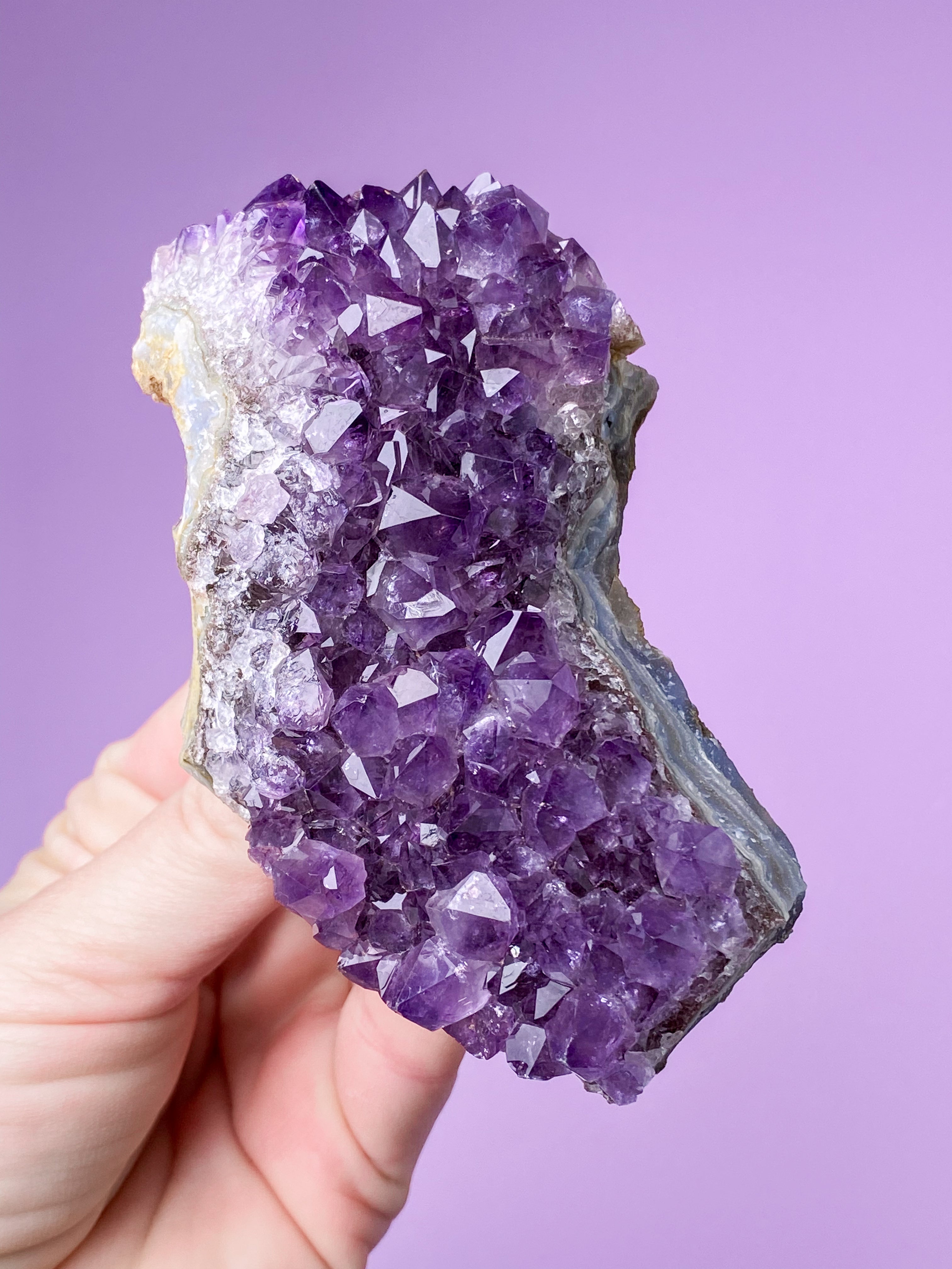 Ametyst Klynge (Nr. 24)