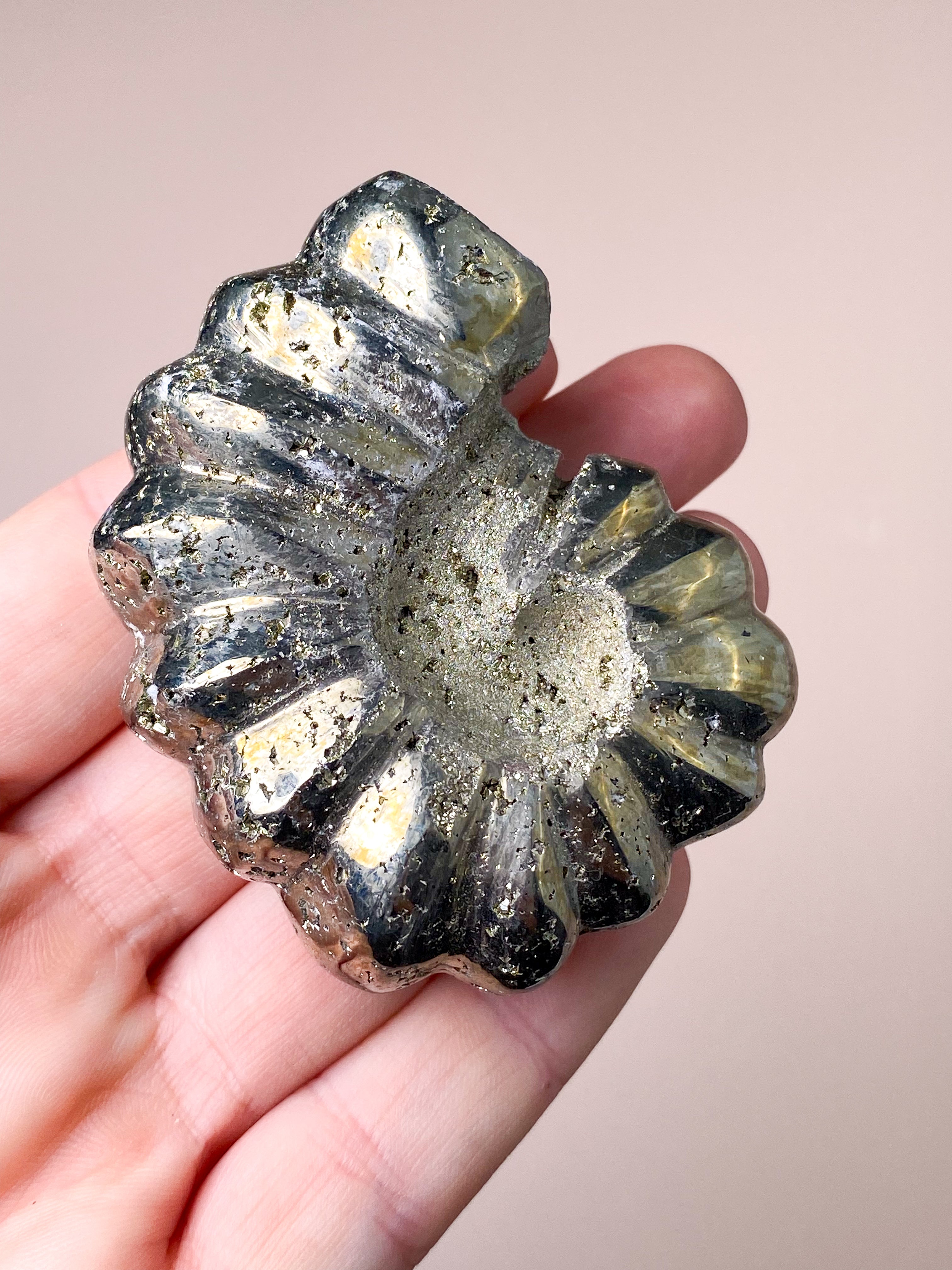 Pyrite Ammonite (No. 1)