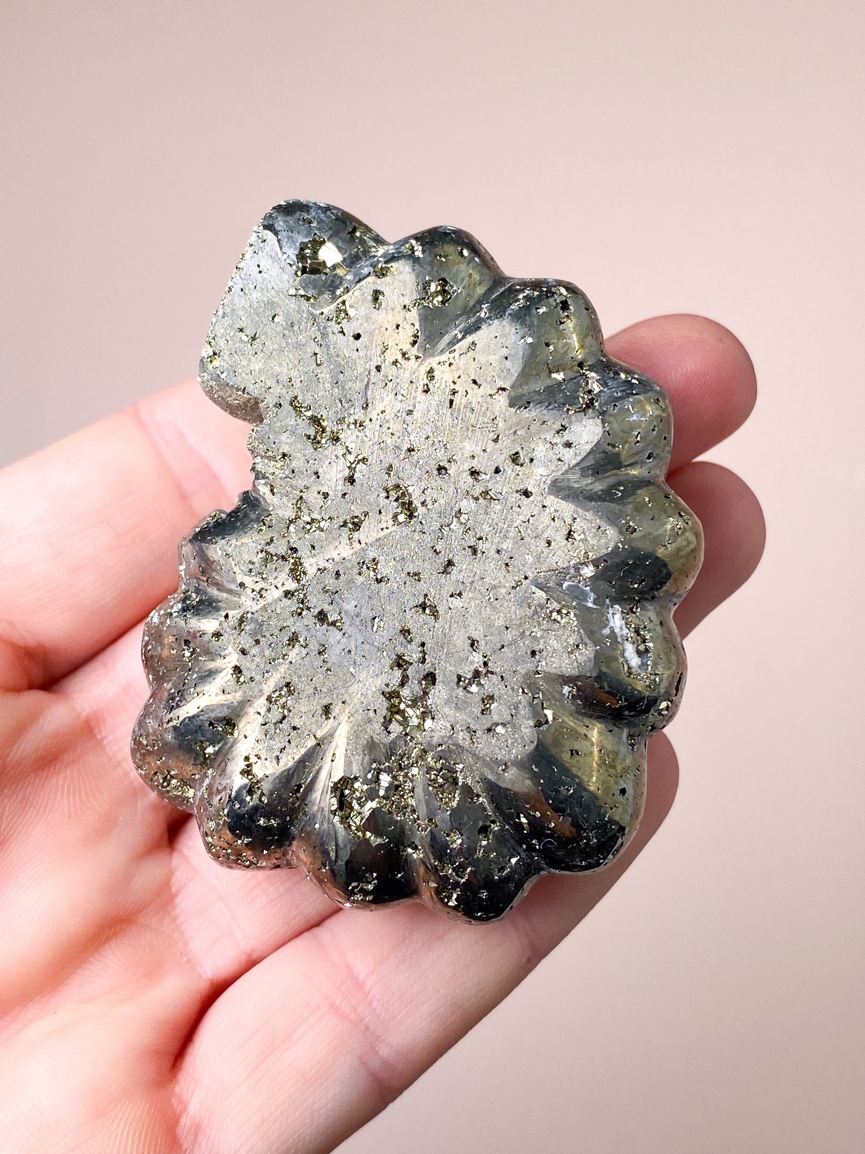 Pyrite Ammonite (No. 1)