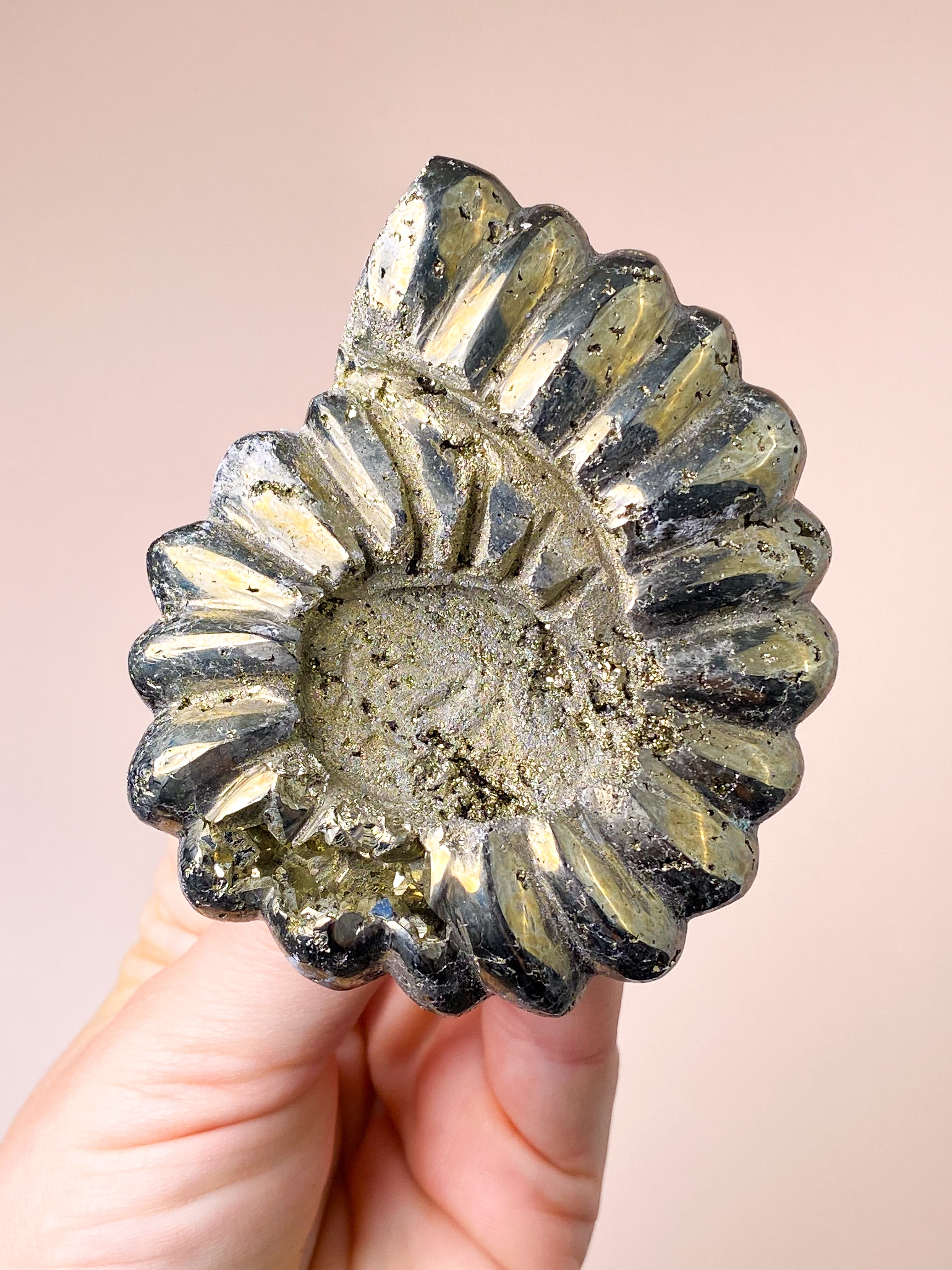 Pyrite Ammonite (No. 1)