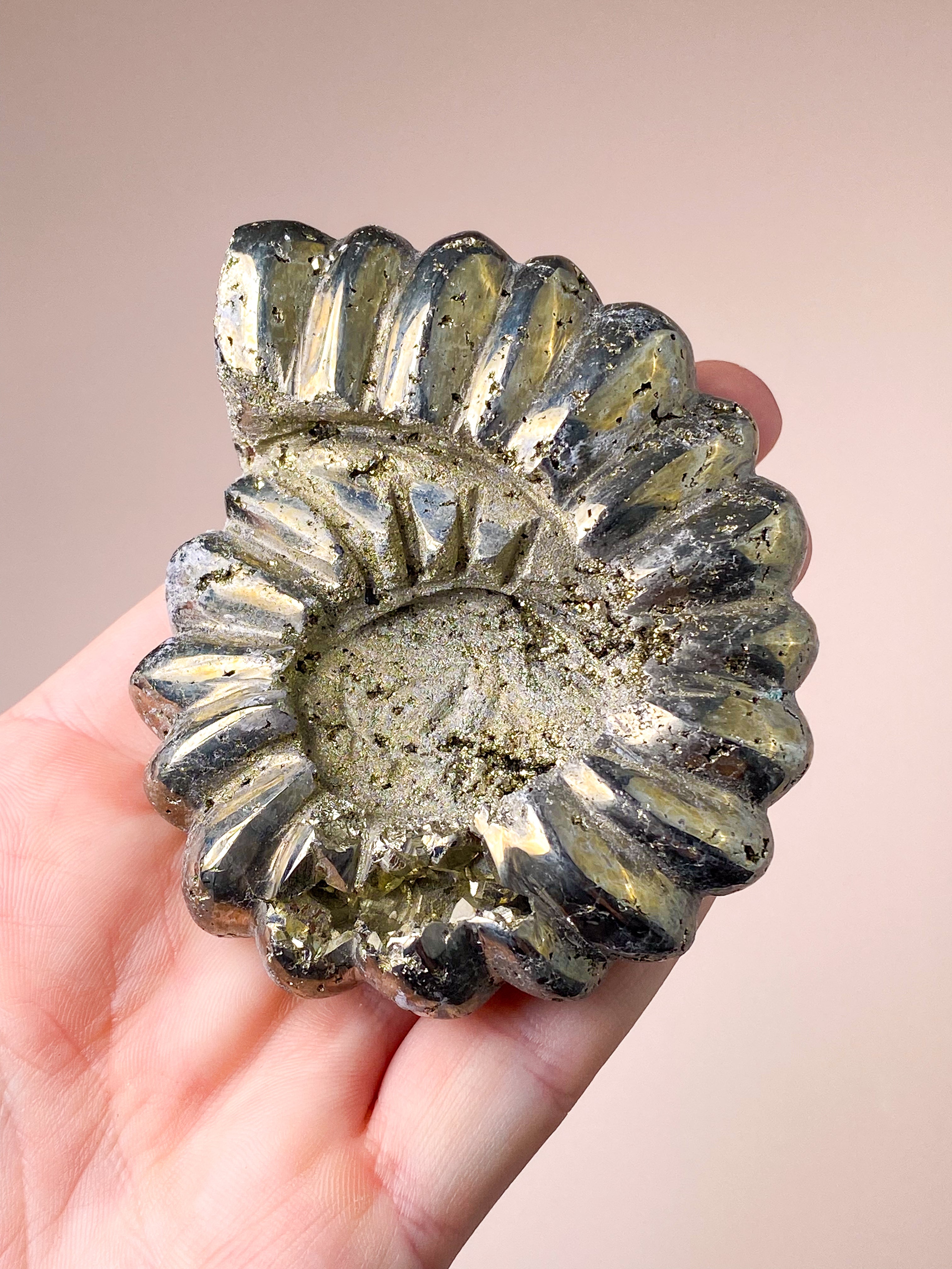 Pyrite Ammonite (No. 1)