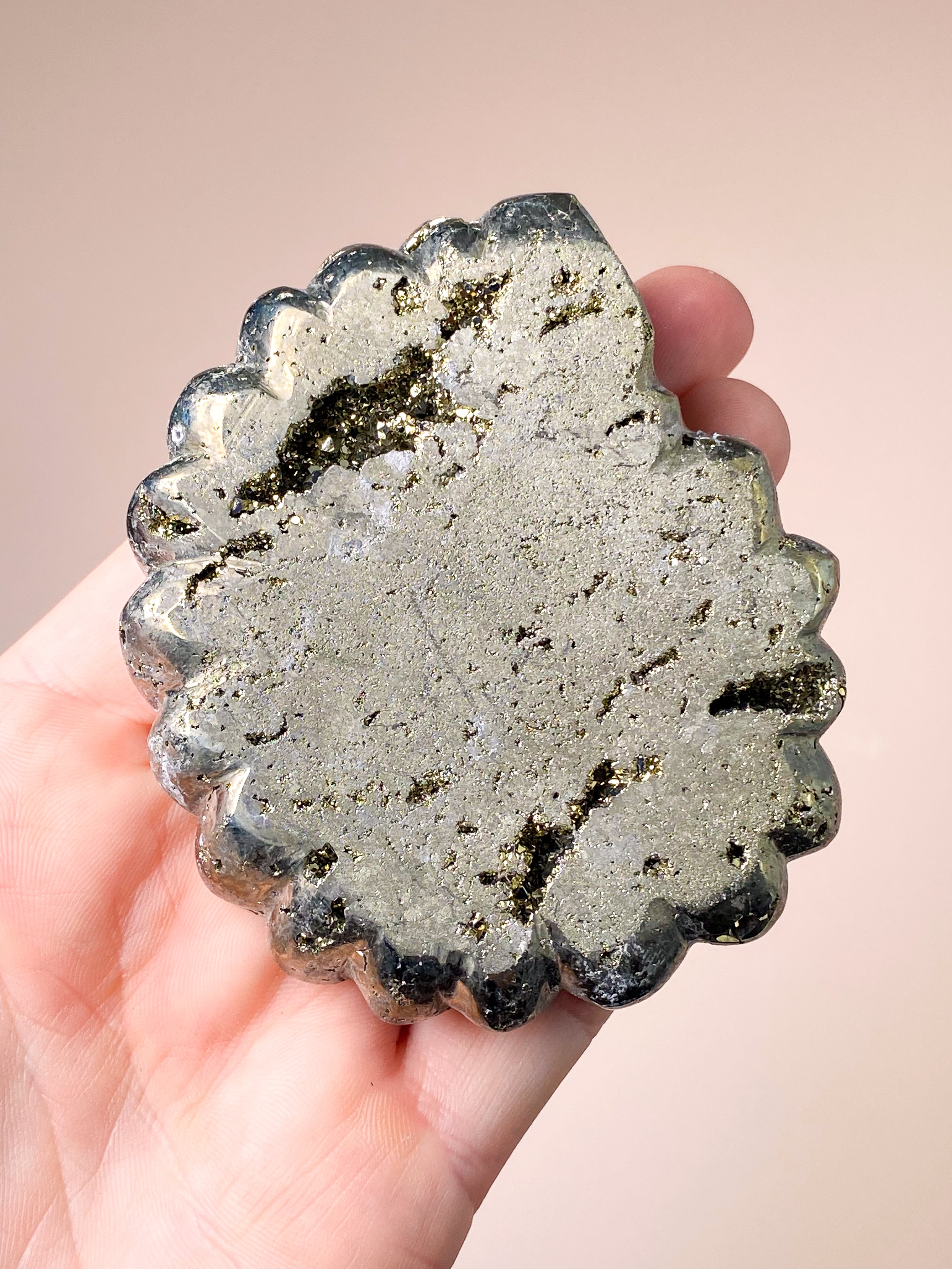 Pyrite Ammonite (No. 1)