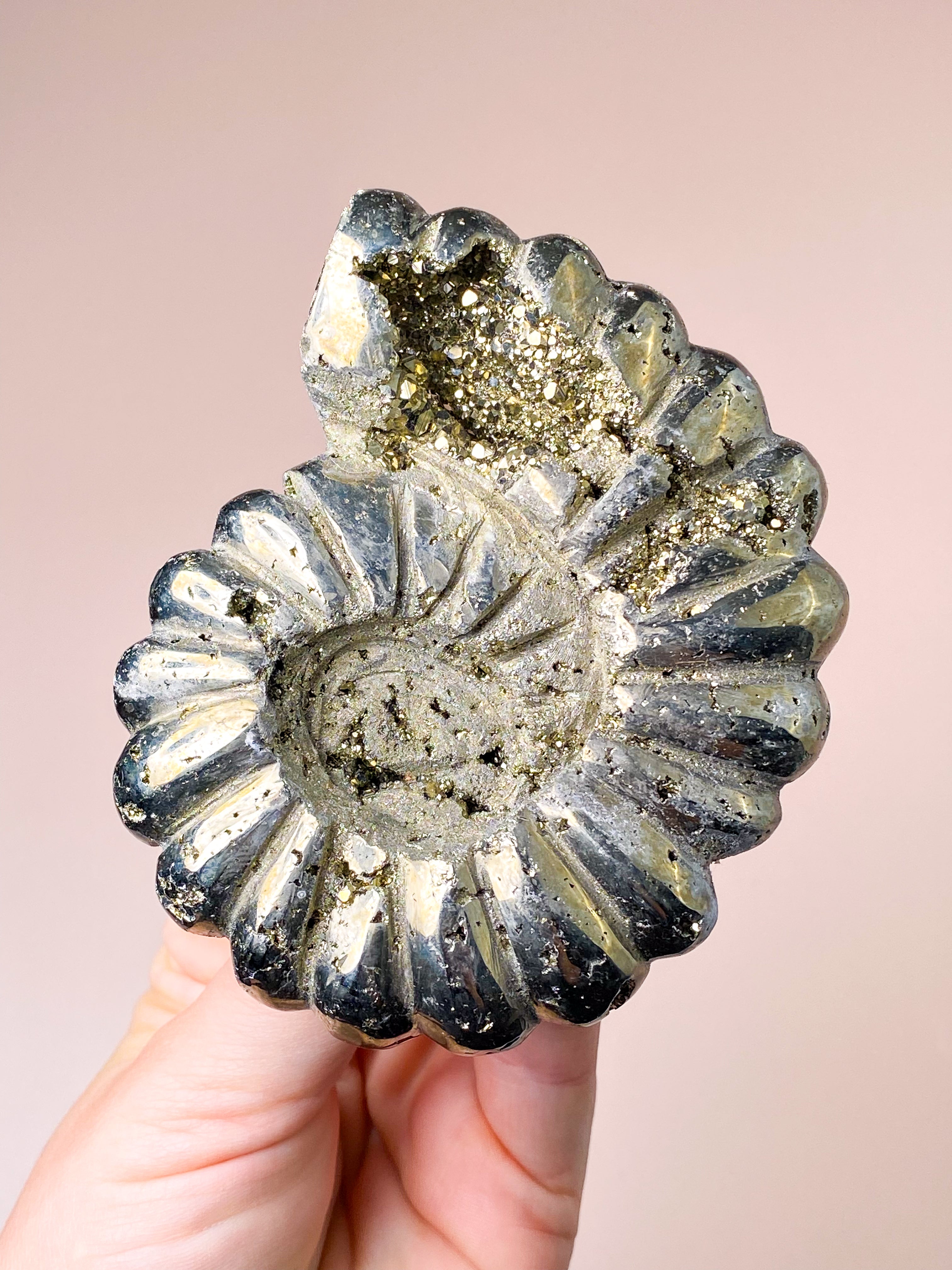 Pyrite Ammonite (No. 1)