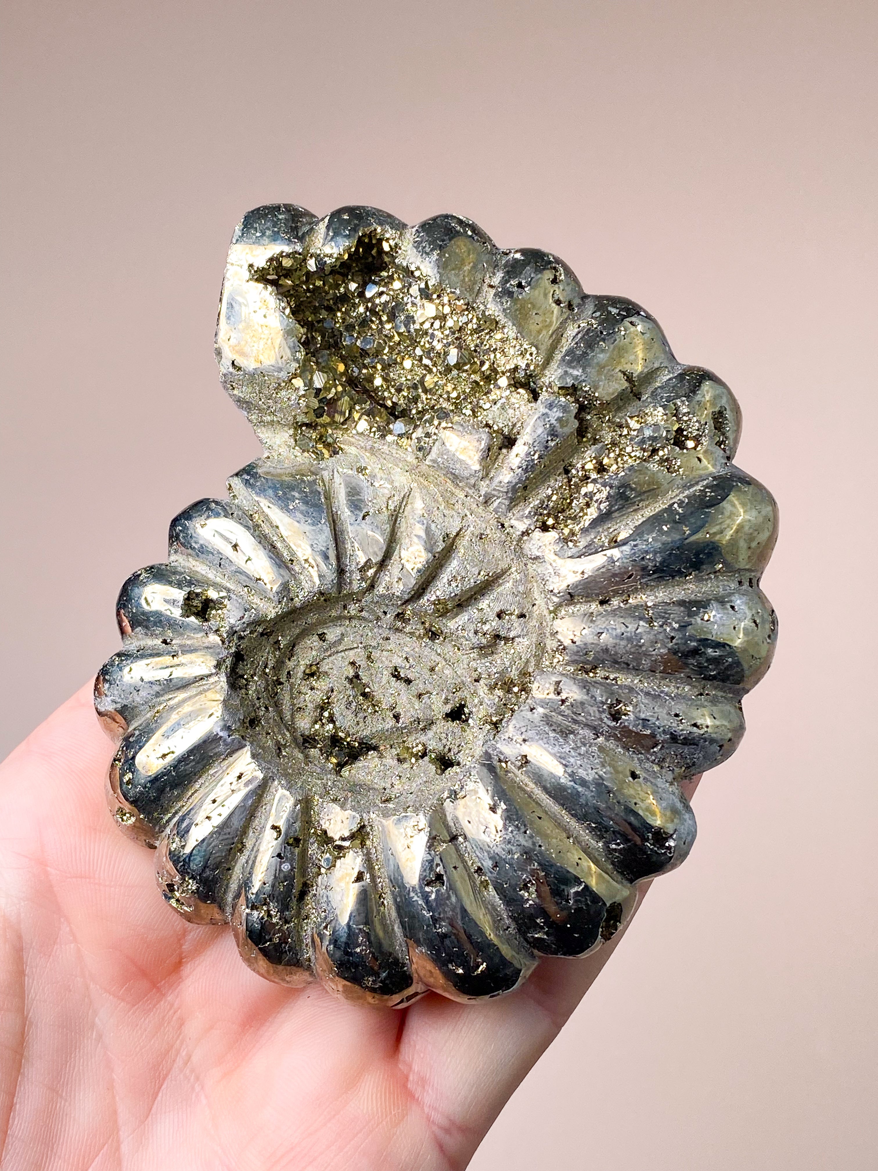 Pyrite Ammonite (No. 1)