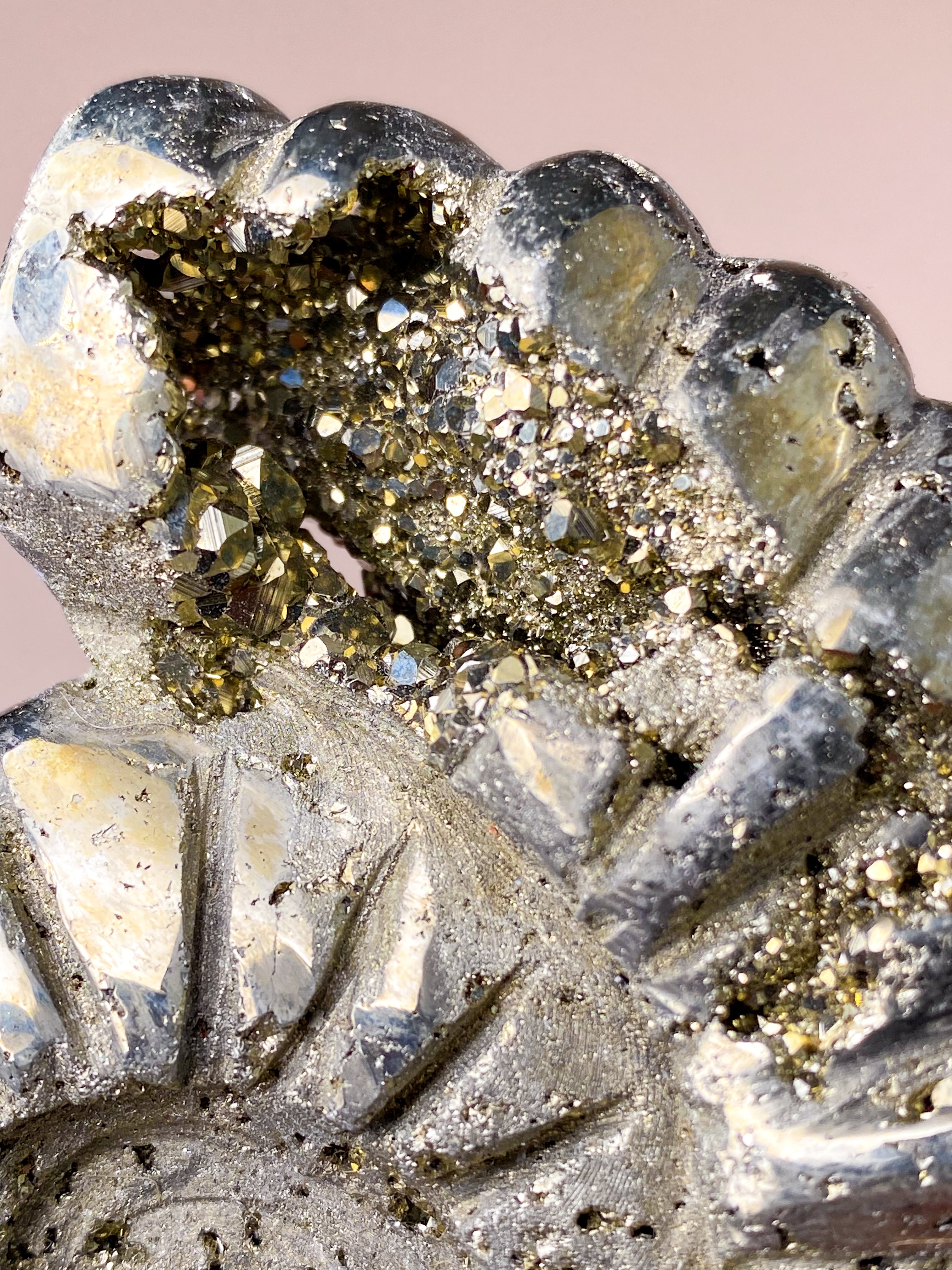 Pyrite Ammonite (No. 1)