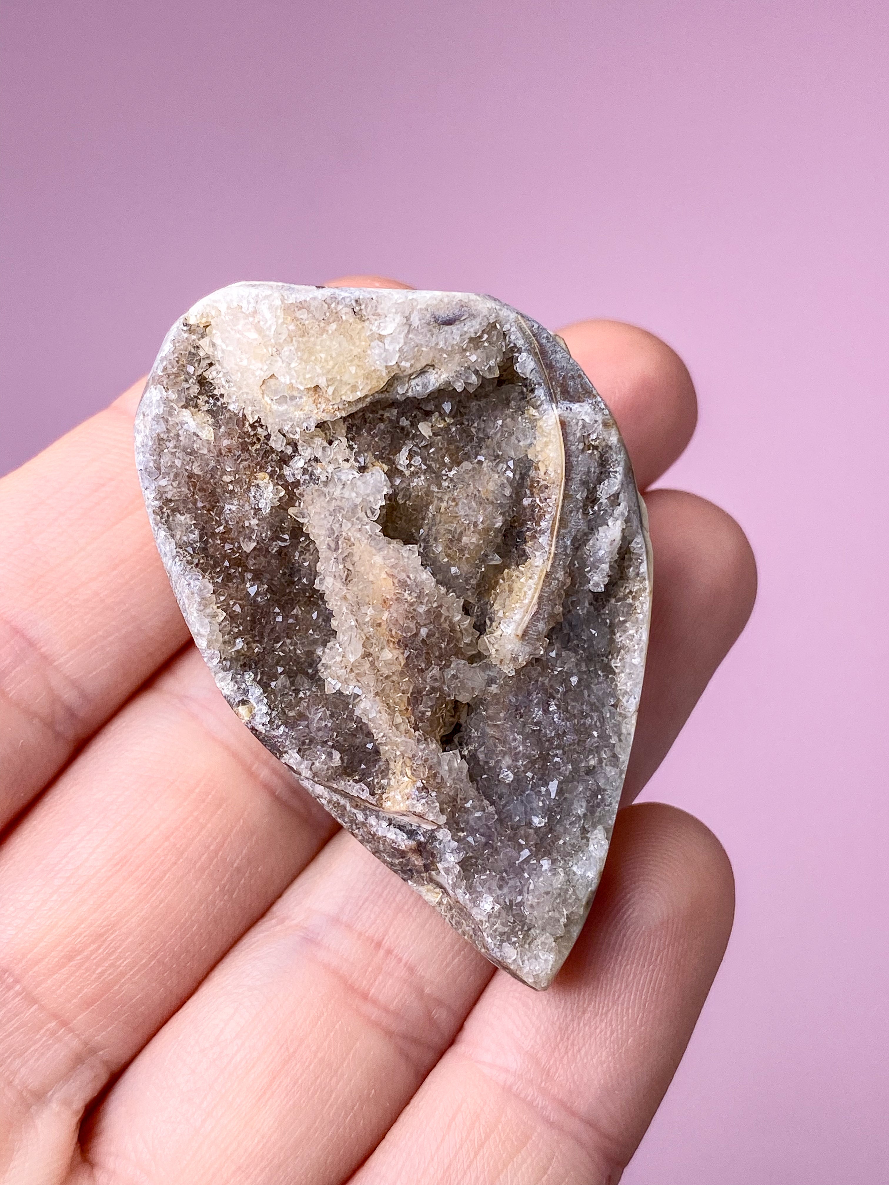 Druzy Konkylie Fossil (Nr. 28)