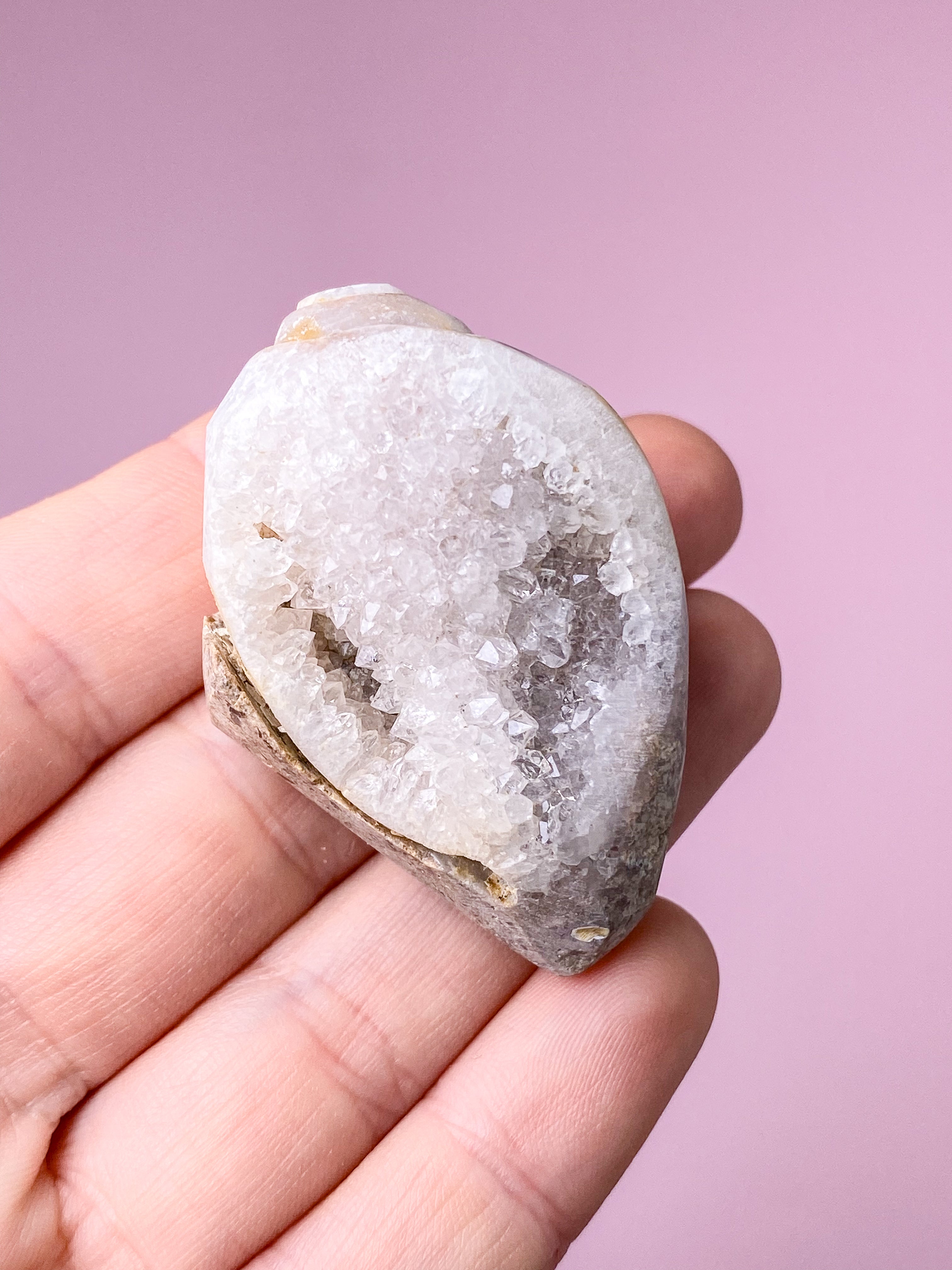 Druzy Konkylie Fossil (Nr. 30)