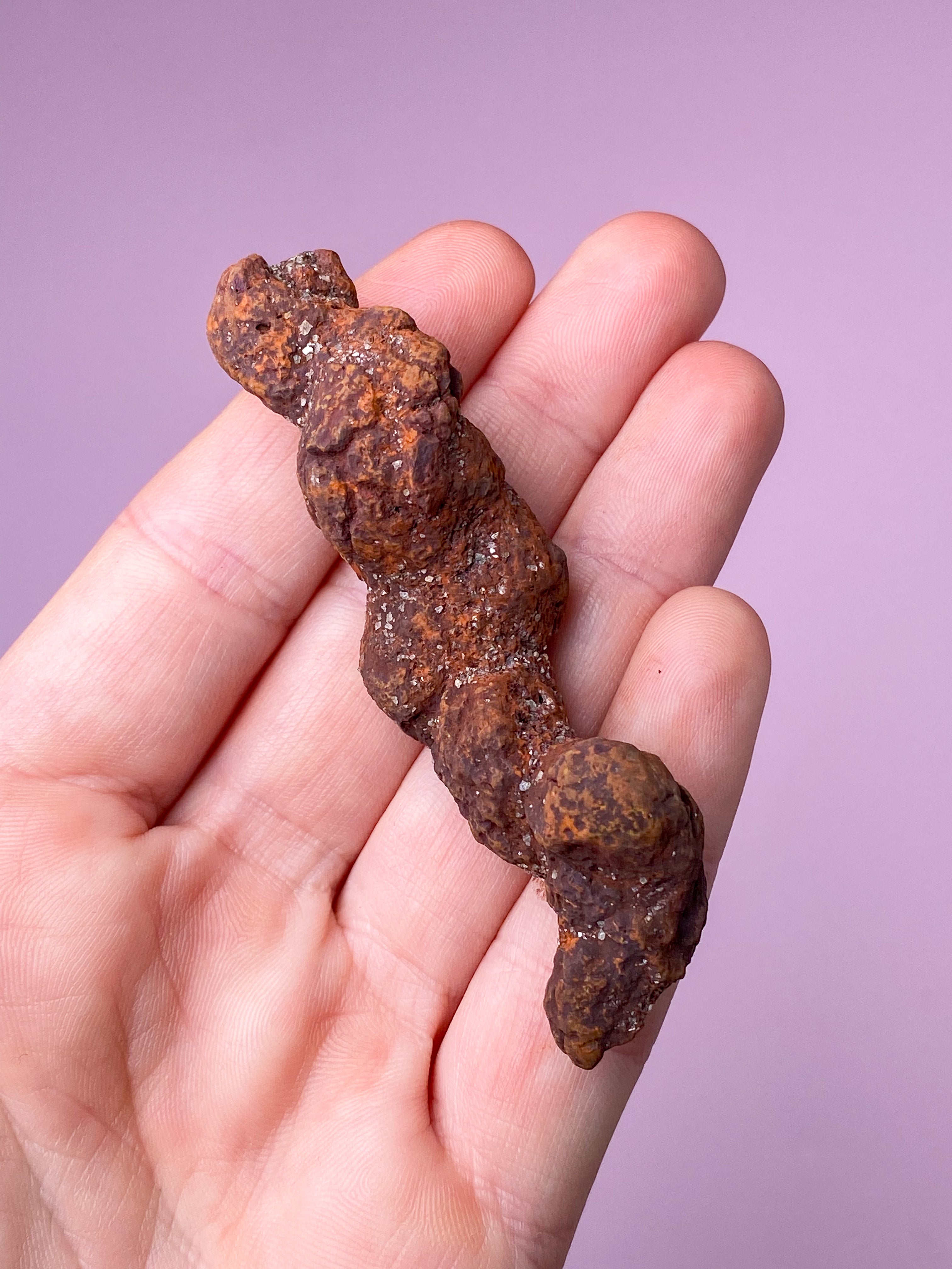 Koprolit Fossil (Nr. 2)