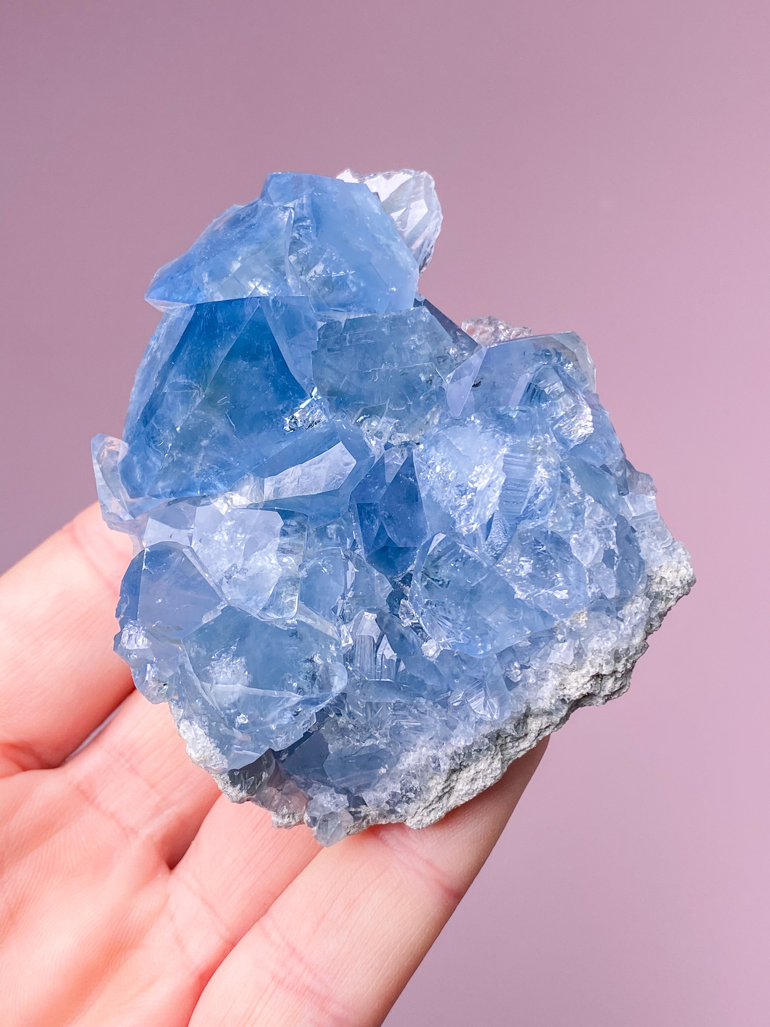 Celestit Cluster (nr 4)