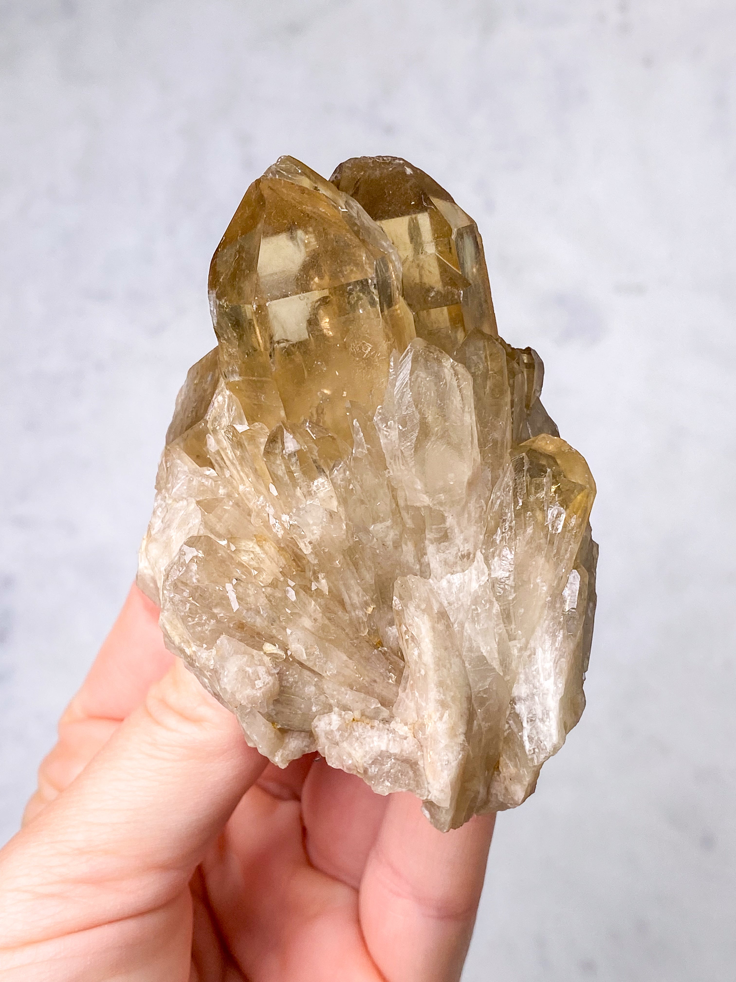 Kundalini Citrin Kluster (nr 29)