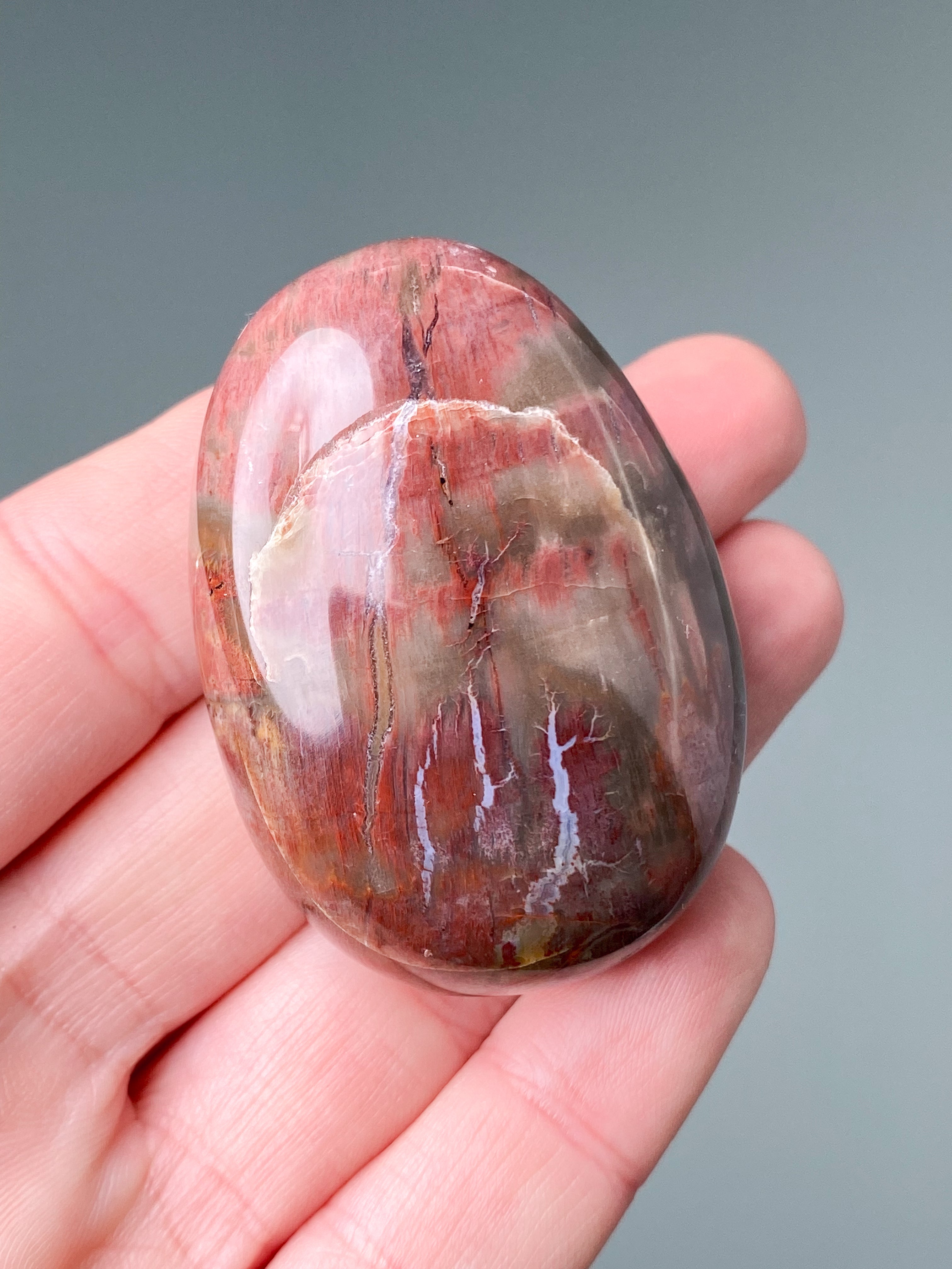 Forstenet Træ Palmstone (Nr. 3)