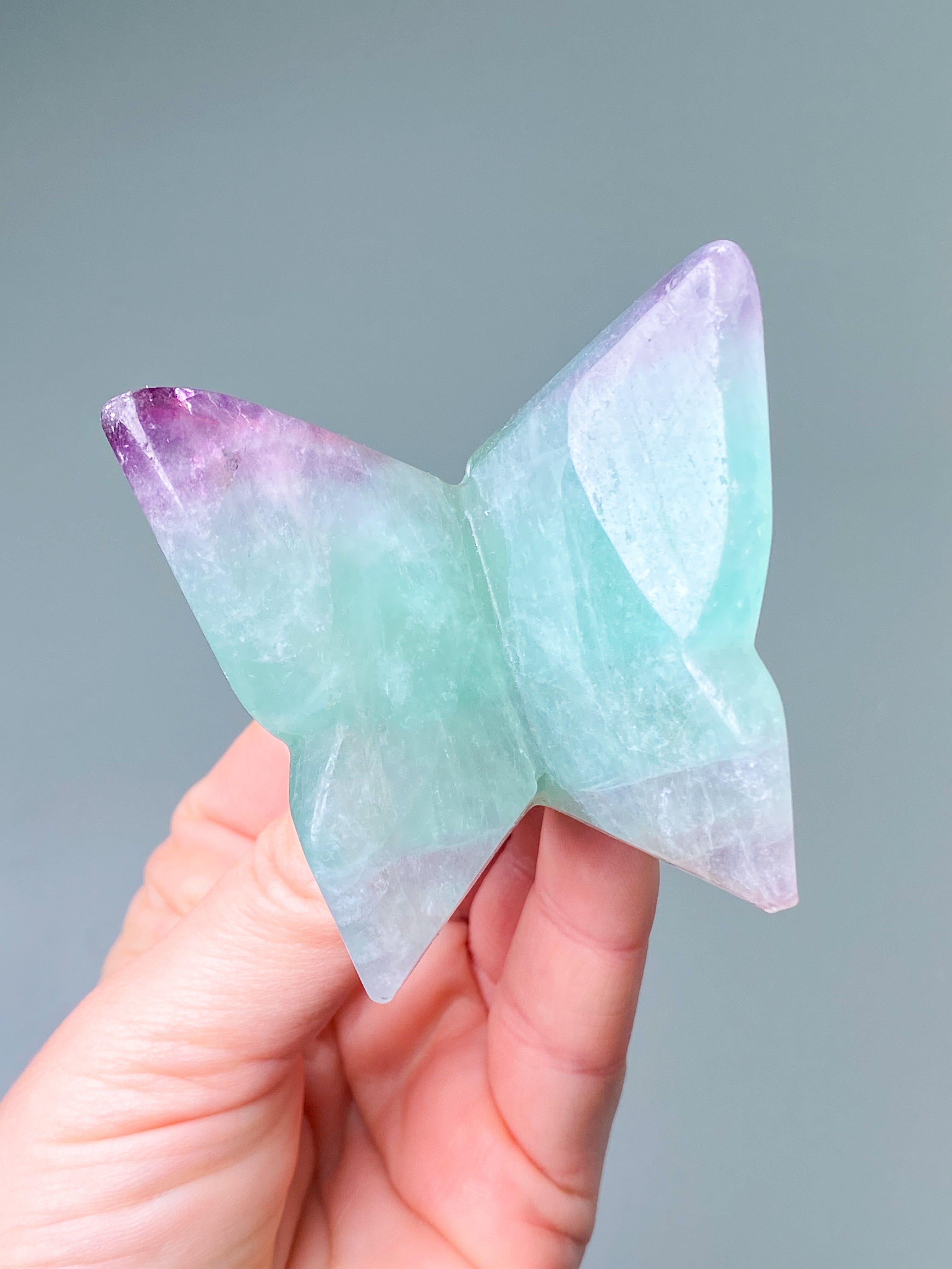 Regnbågsfluoritfjäril (nr 1)