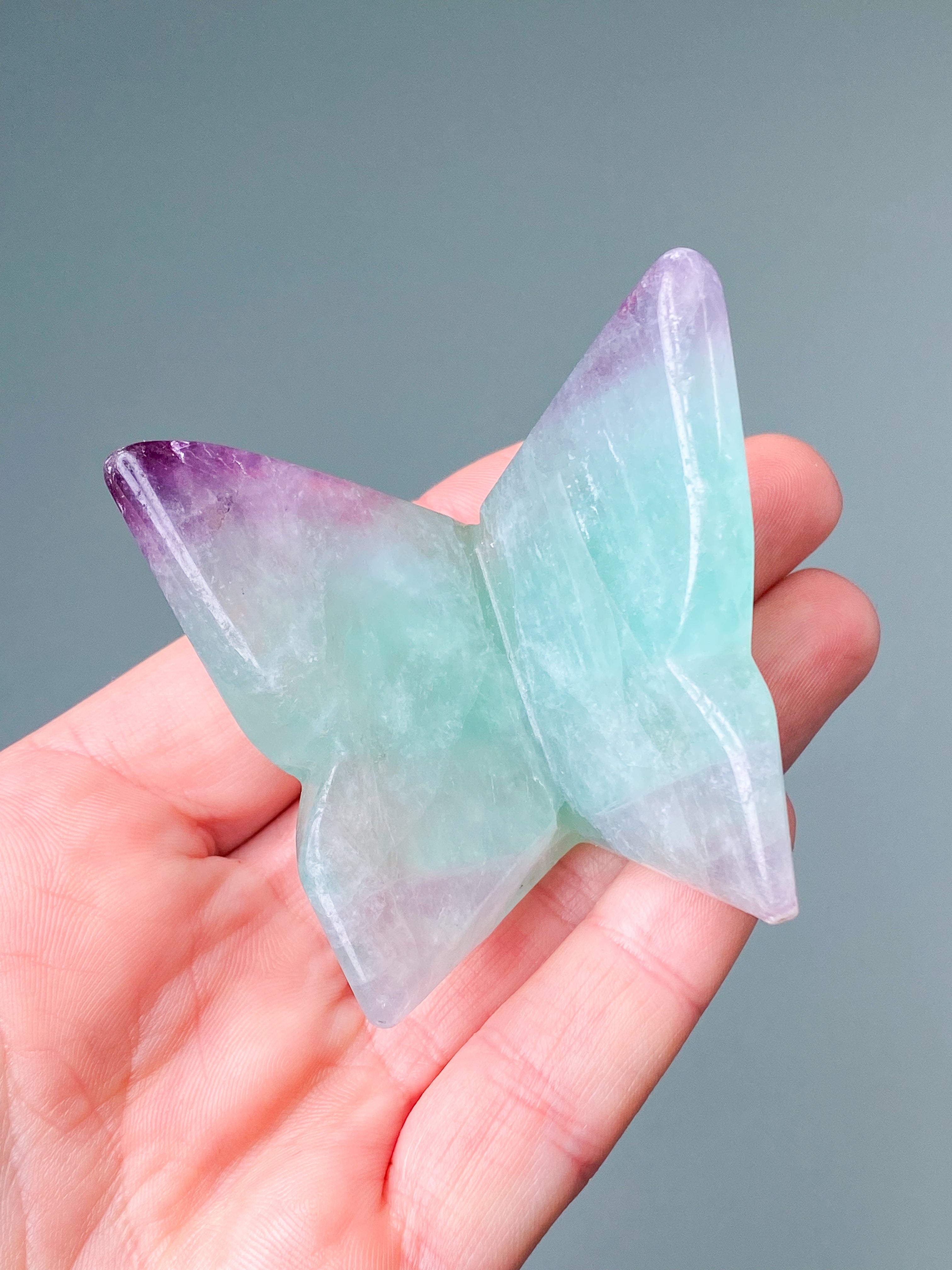 Regnbågsfluoritfjäril (nr 1)