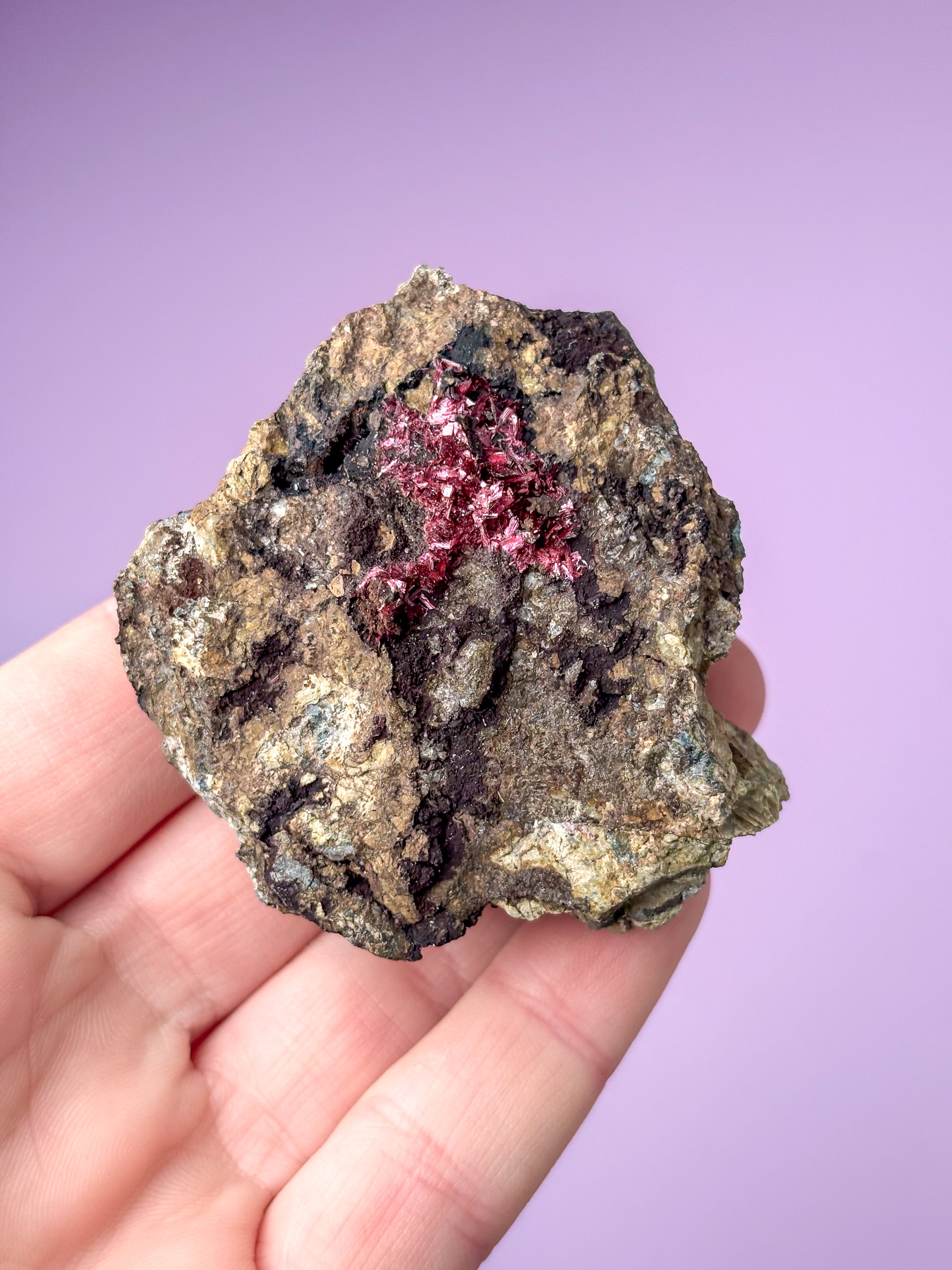 Erytritkluster (nr 4)