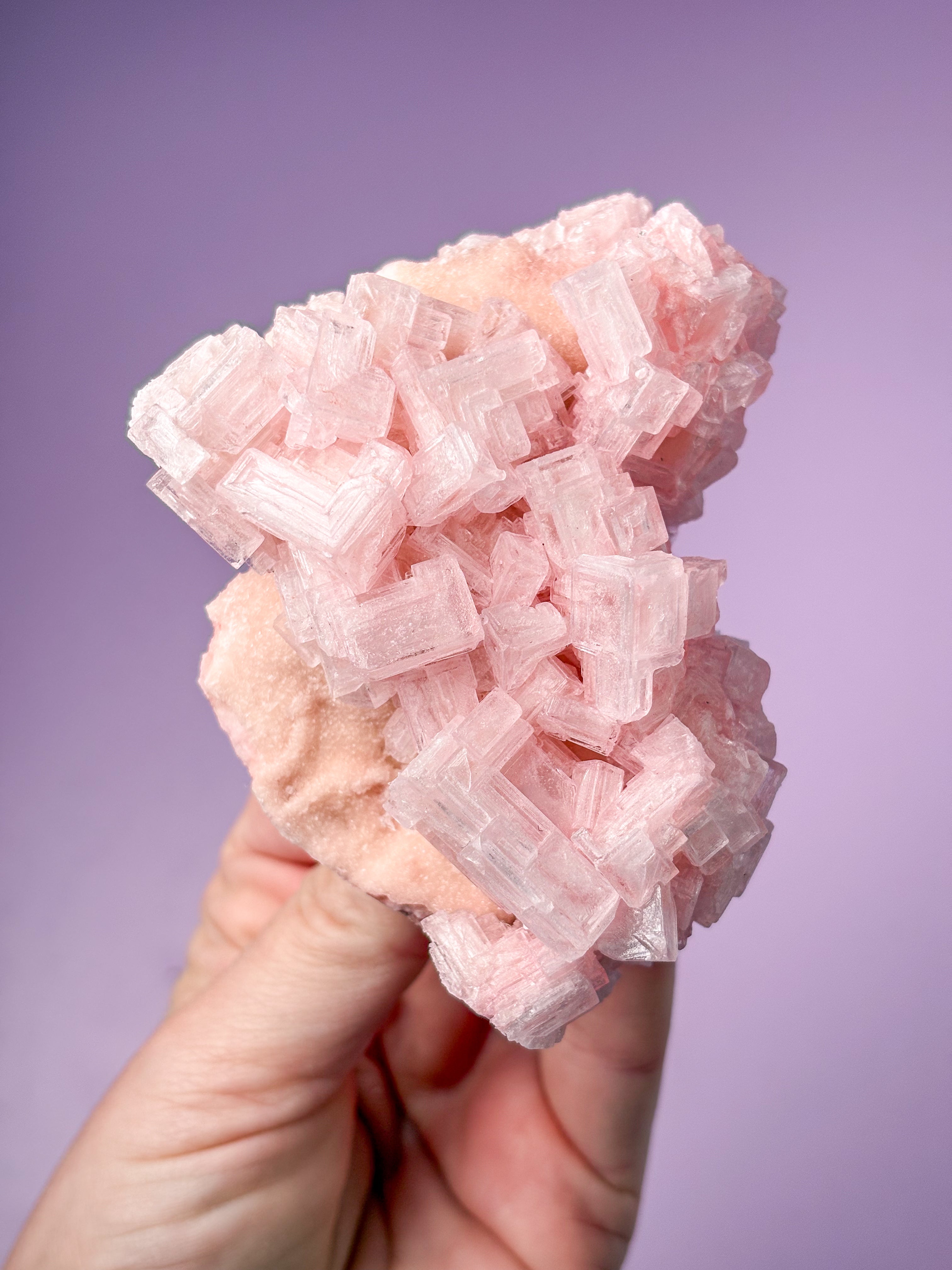 Rosa halitkluster (nr 44) 