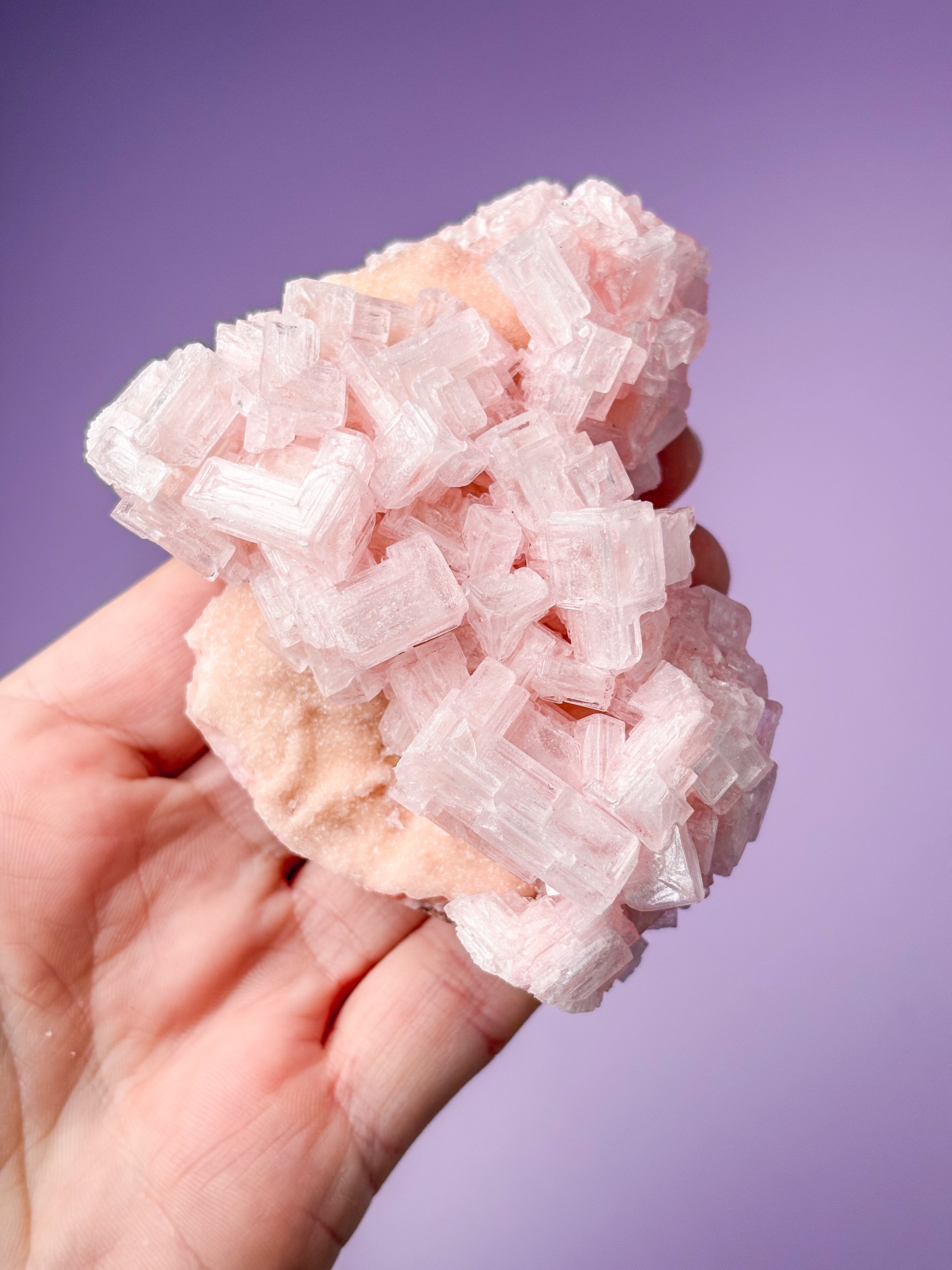 Rosa halitkluster (nr 44) 