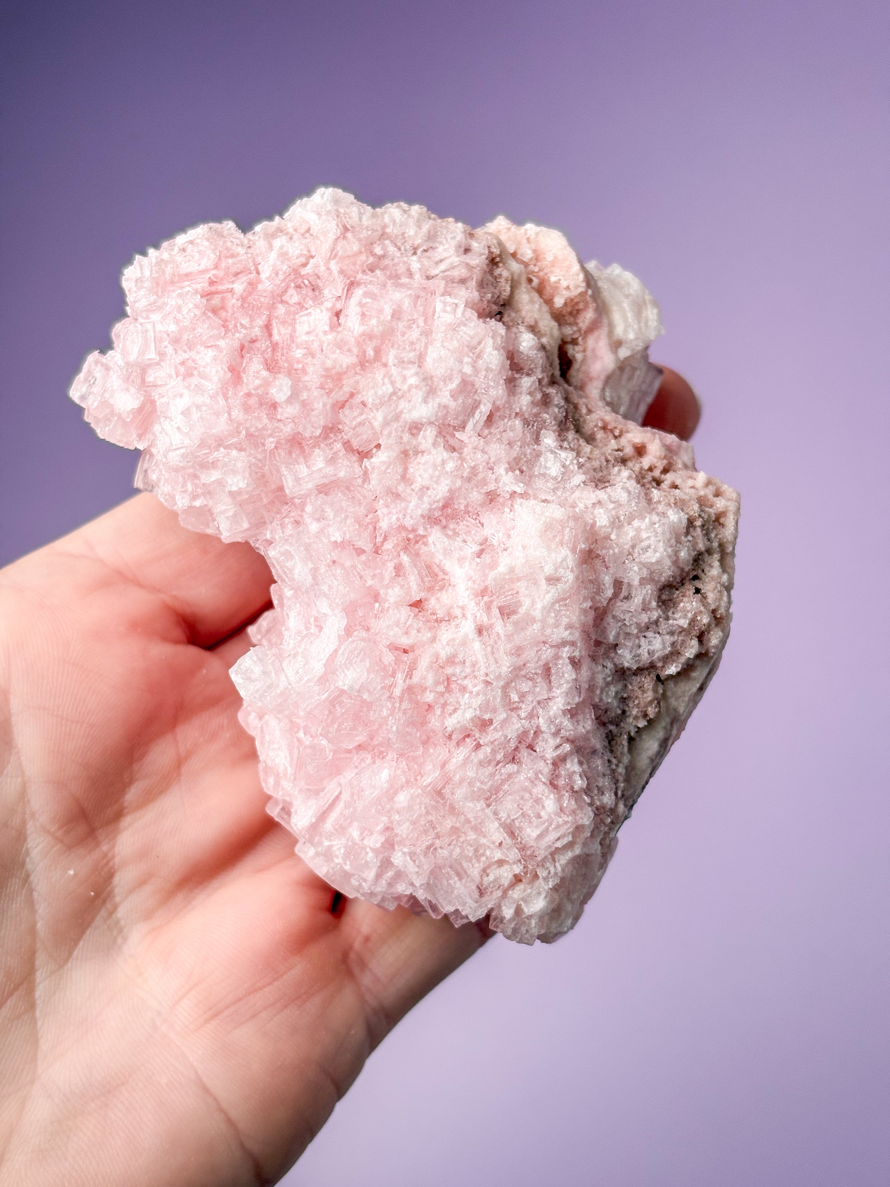 Rosa halitkluster (nr 44) 