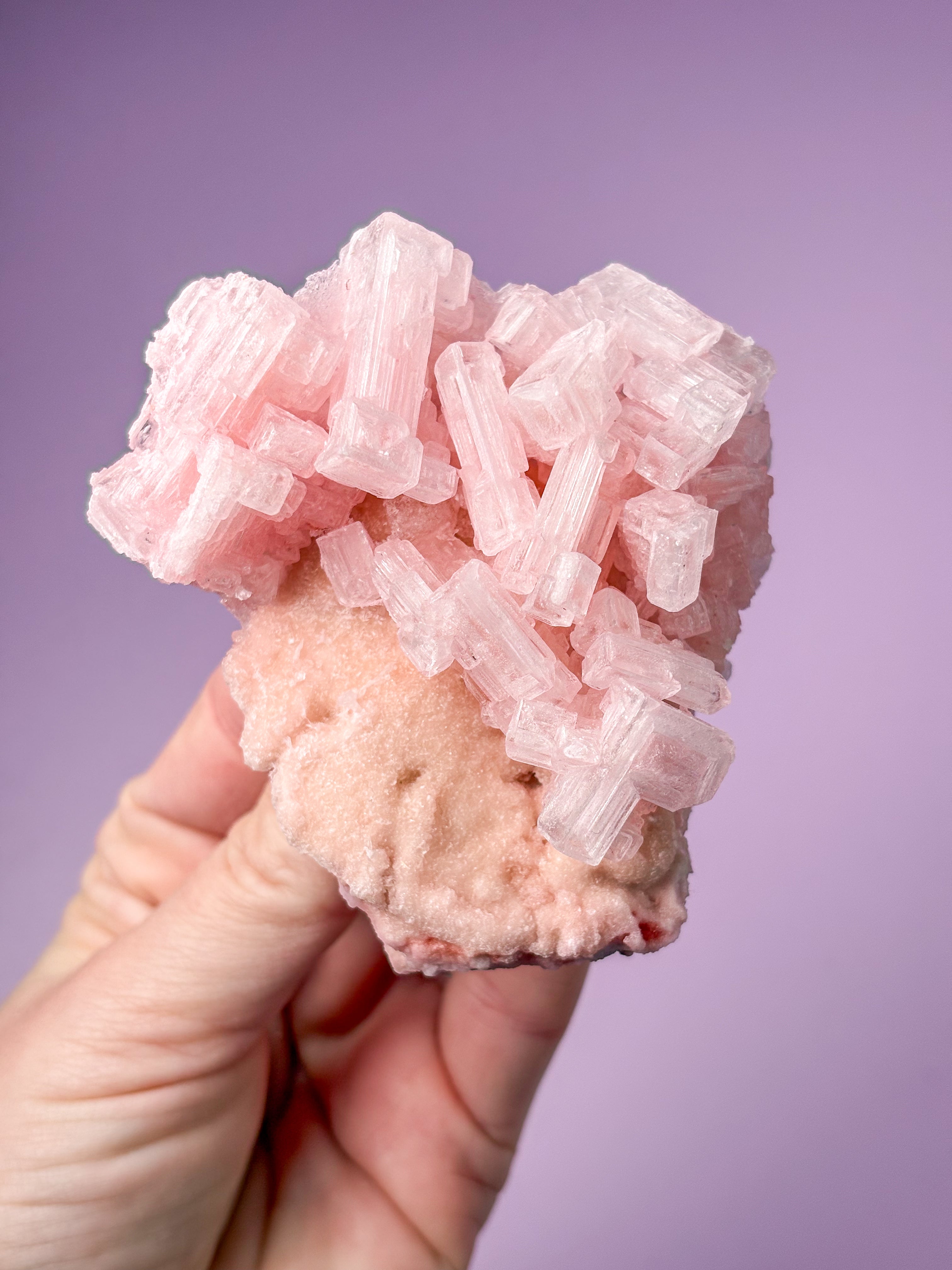 Rosa halitkluster (nr 48) 