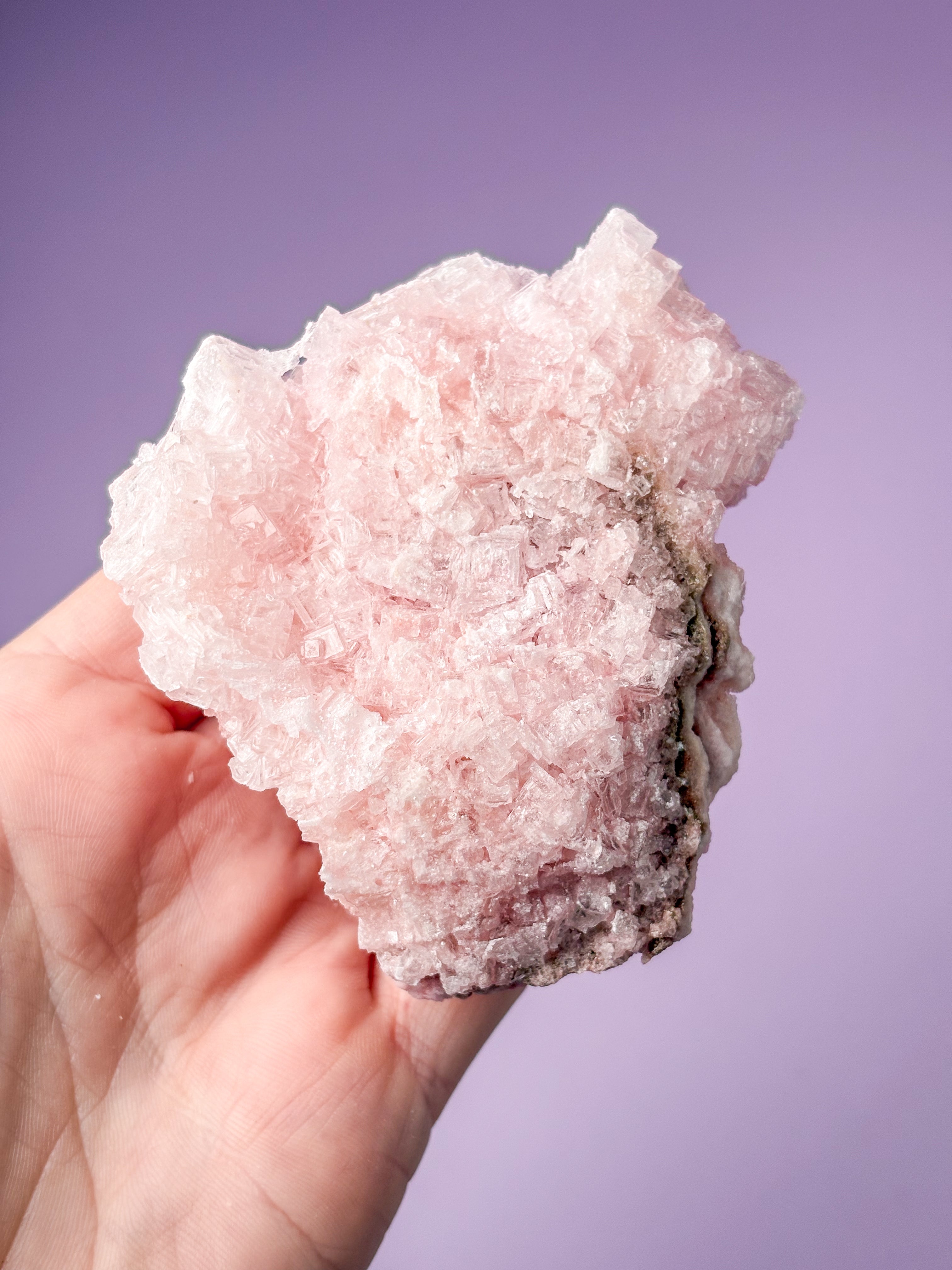 Rosa halitkluster (nr 48) 