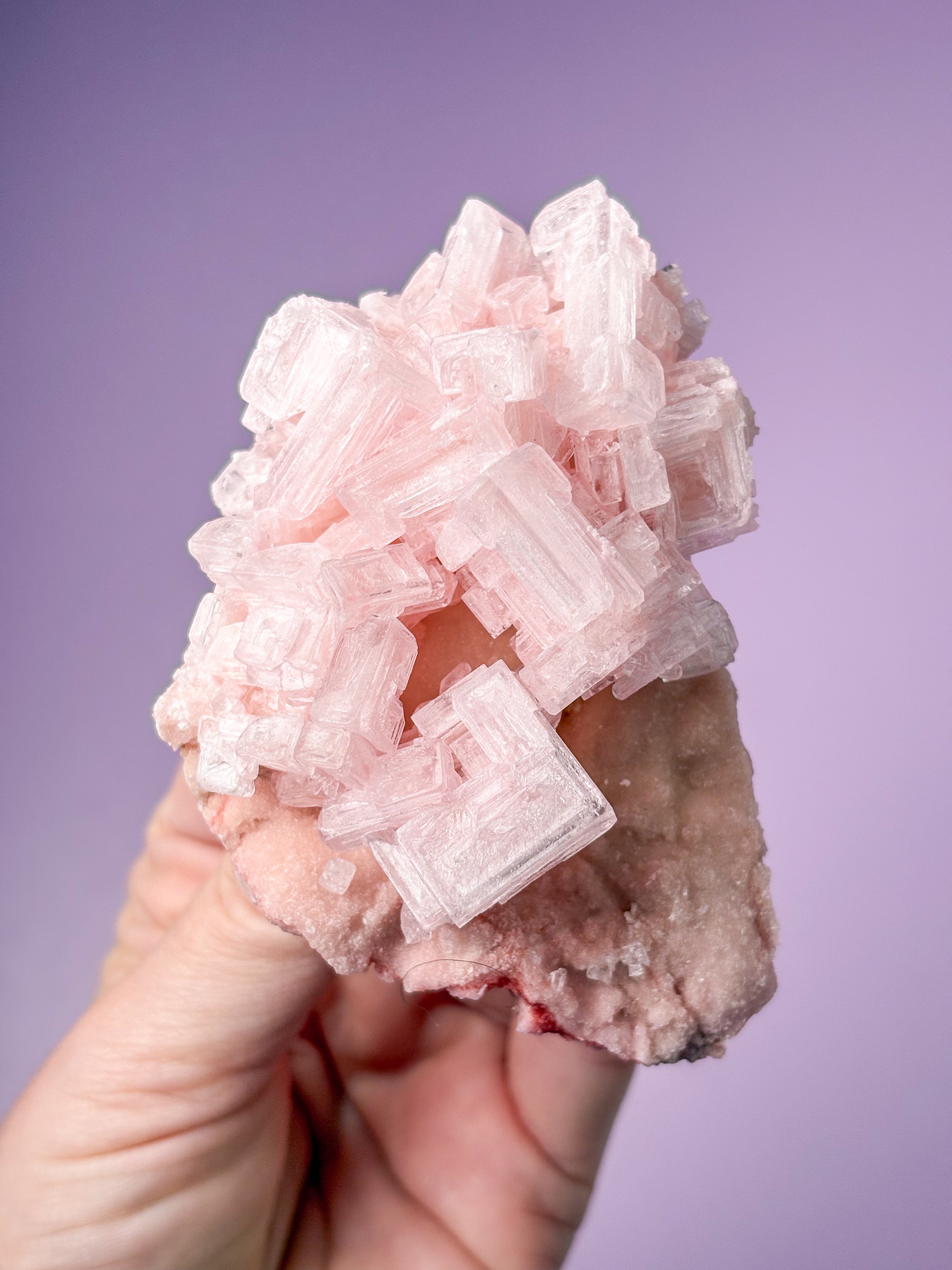 Rosa halitkluster (nr 49) 