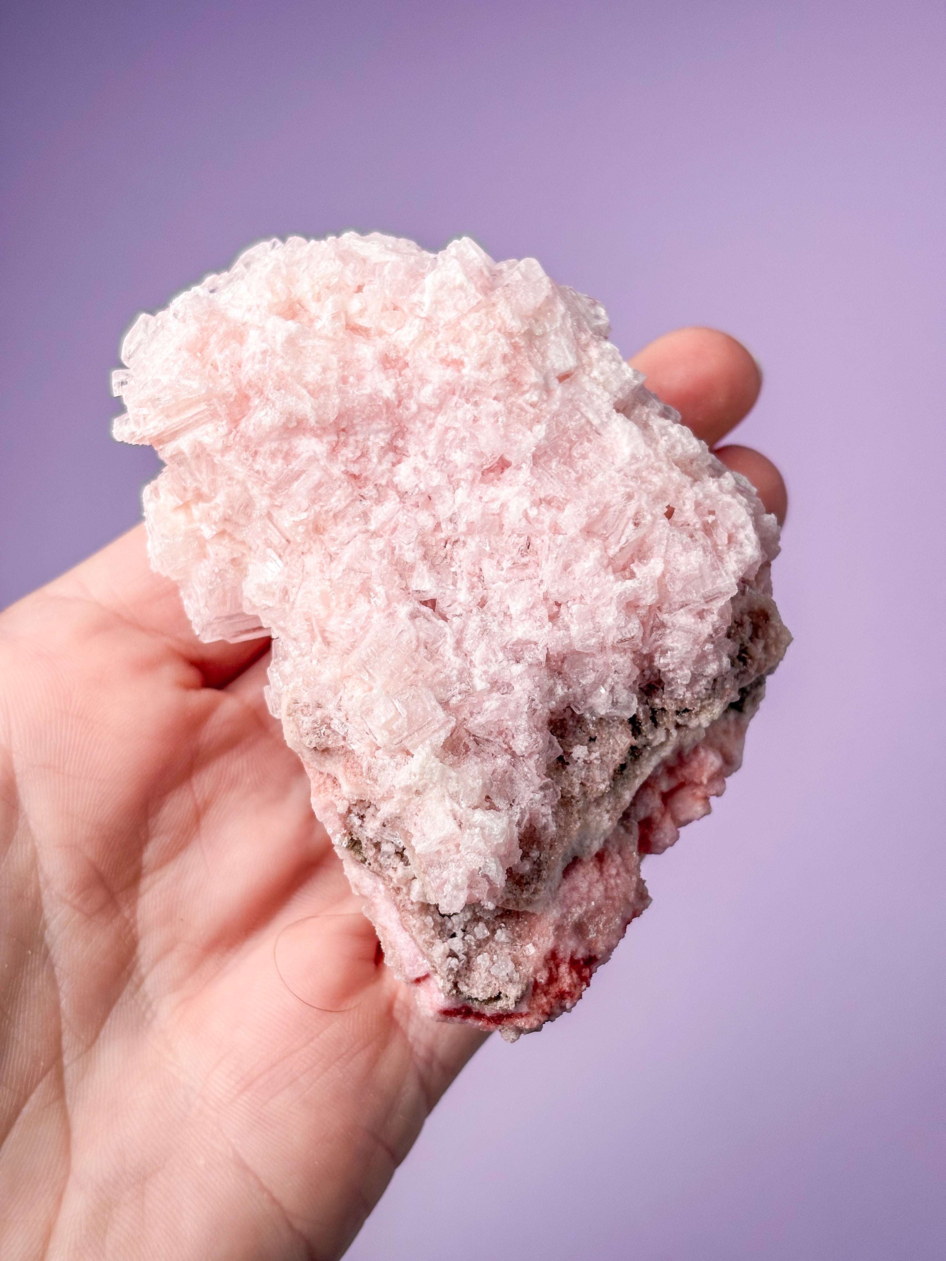 Rosa halitkluster (nr 49) 