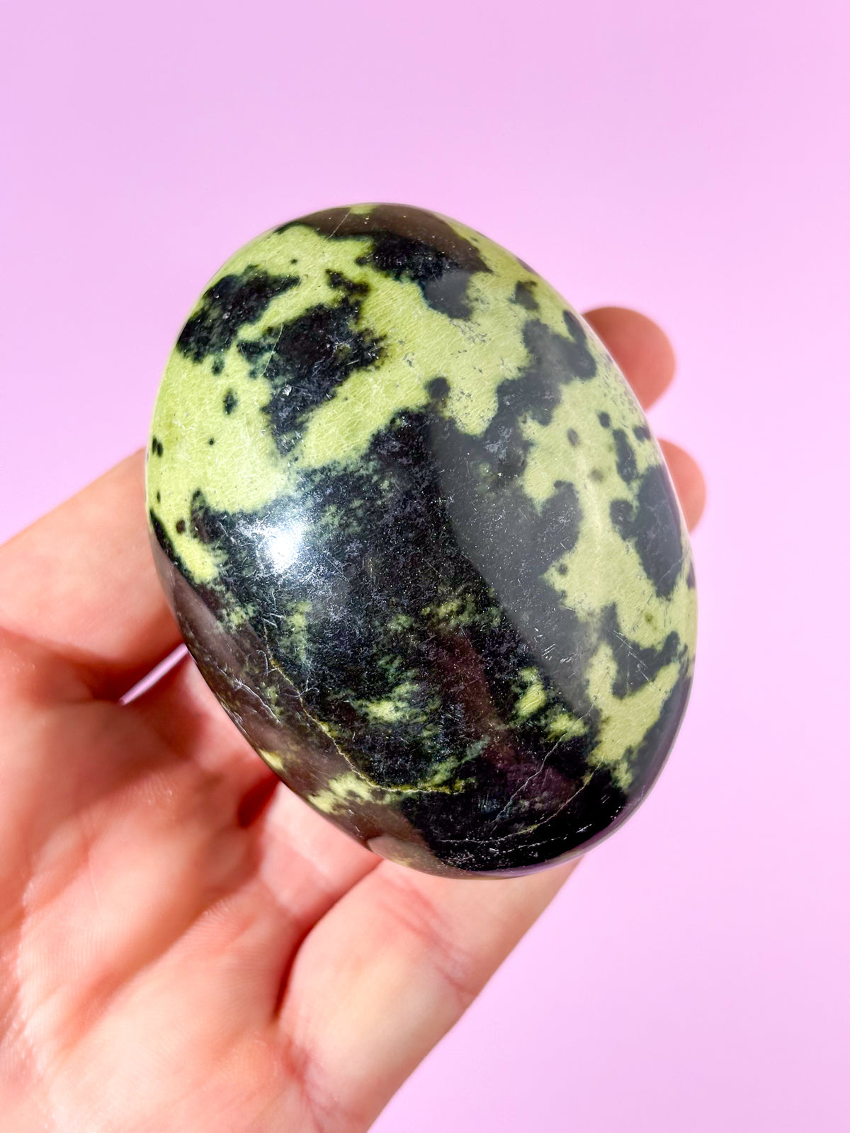Leopard Serpentin Palmstone (Nr. 17)
