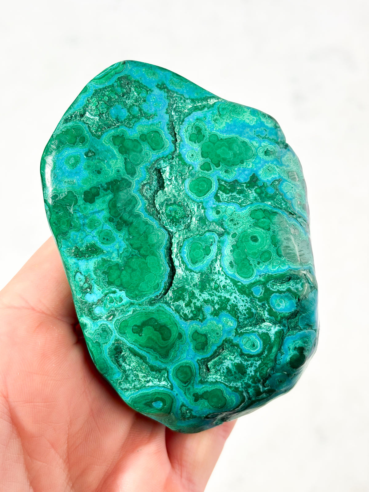 Malacolla Poleret Freeform (Nr. 3)