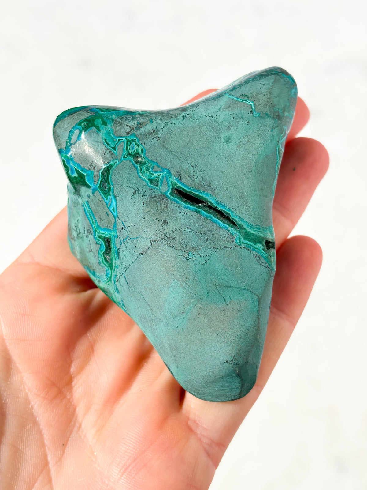 Malacolla Poleret Freeform (Nr. 4)