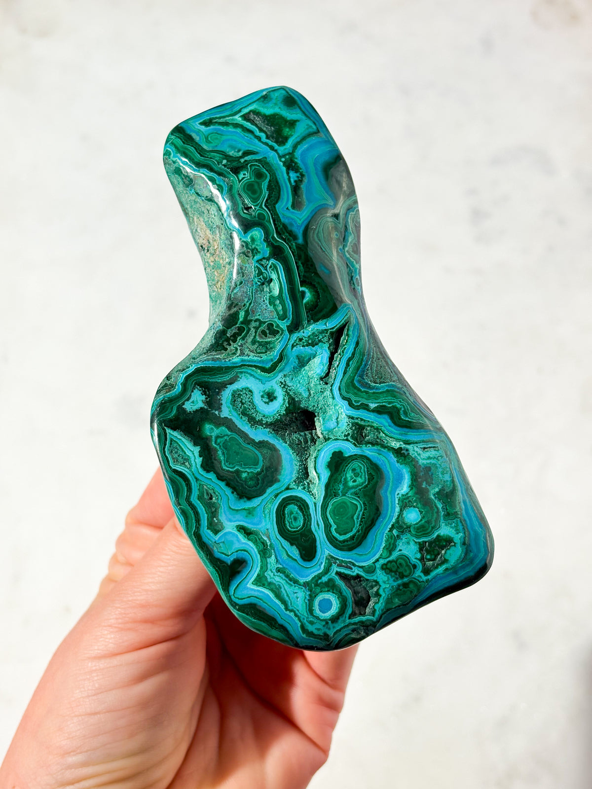 Malacolla Poleret Freeform (Nr. 5)